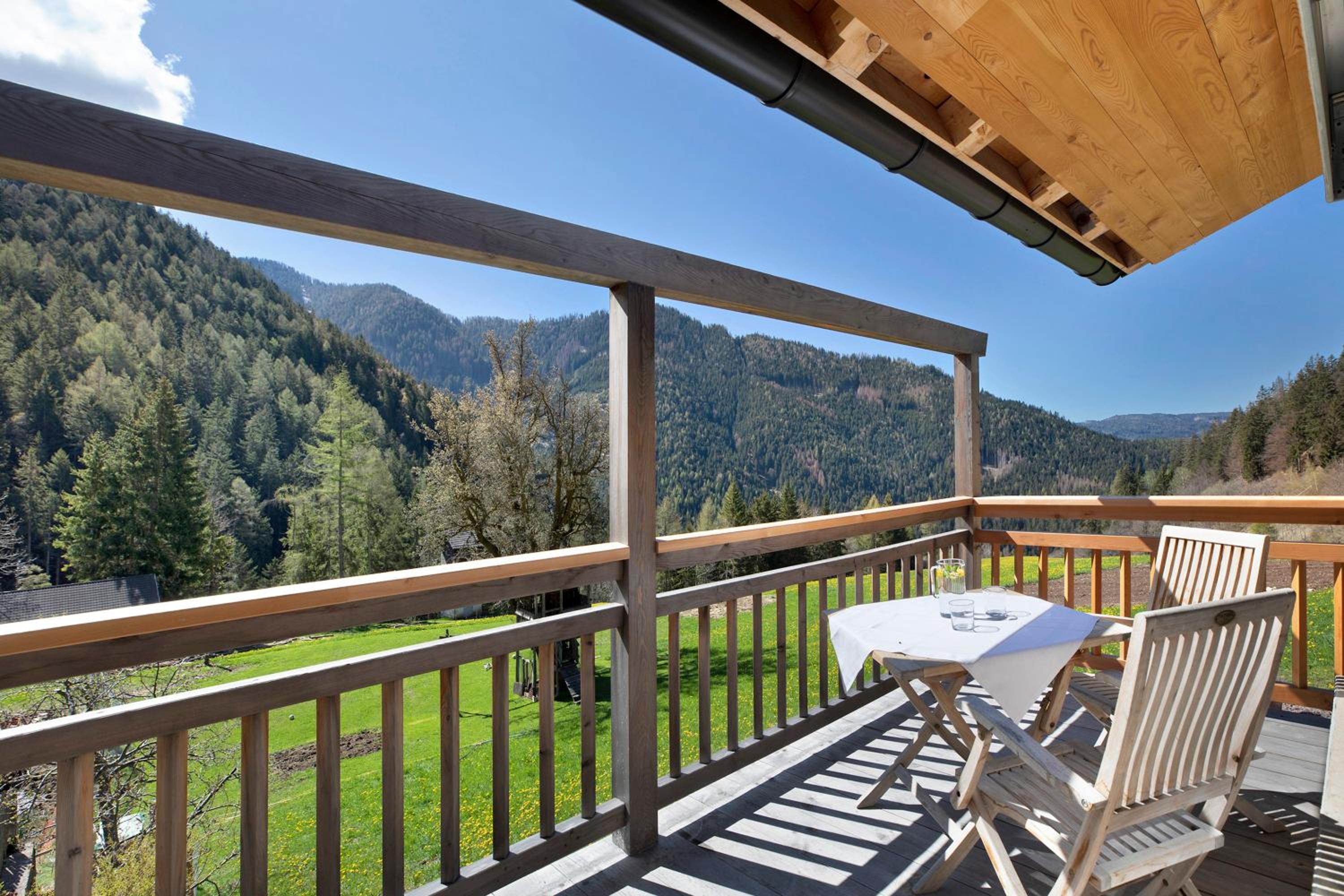 Superior One-Bedroom Apartment with Balcony photo 3