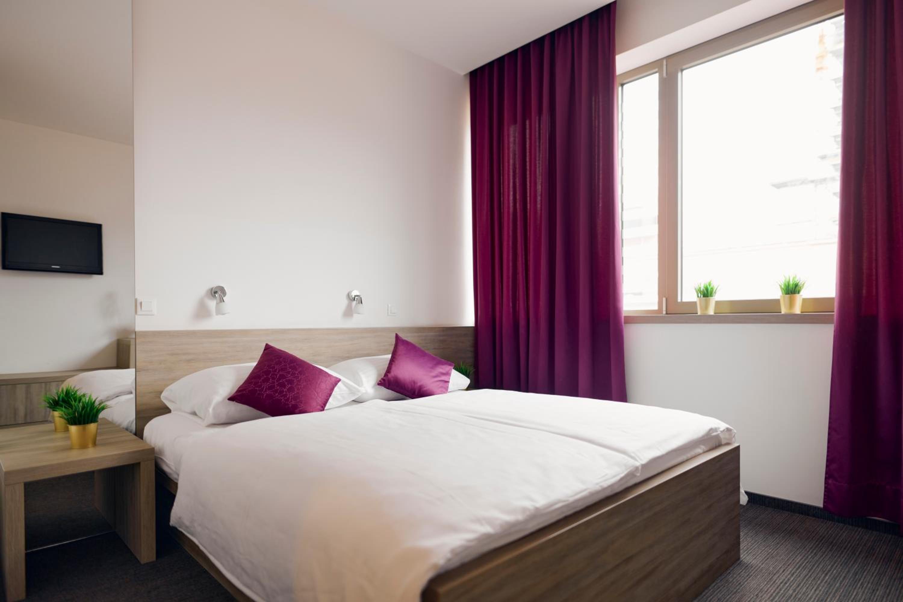 Comfort Double or Twin Room photo 2