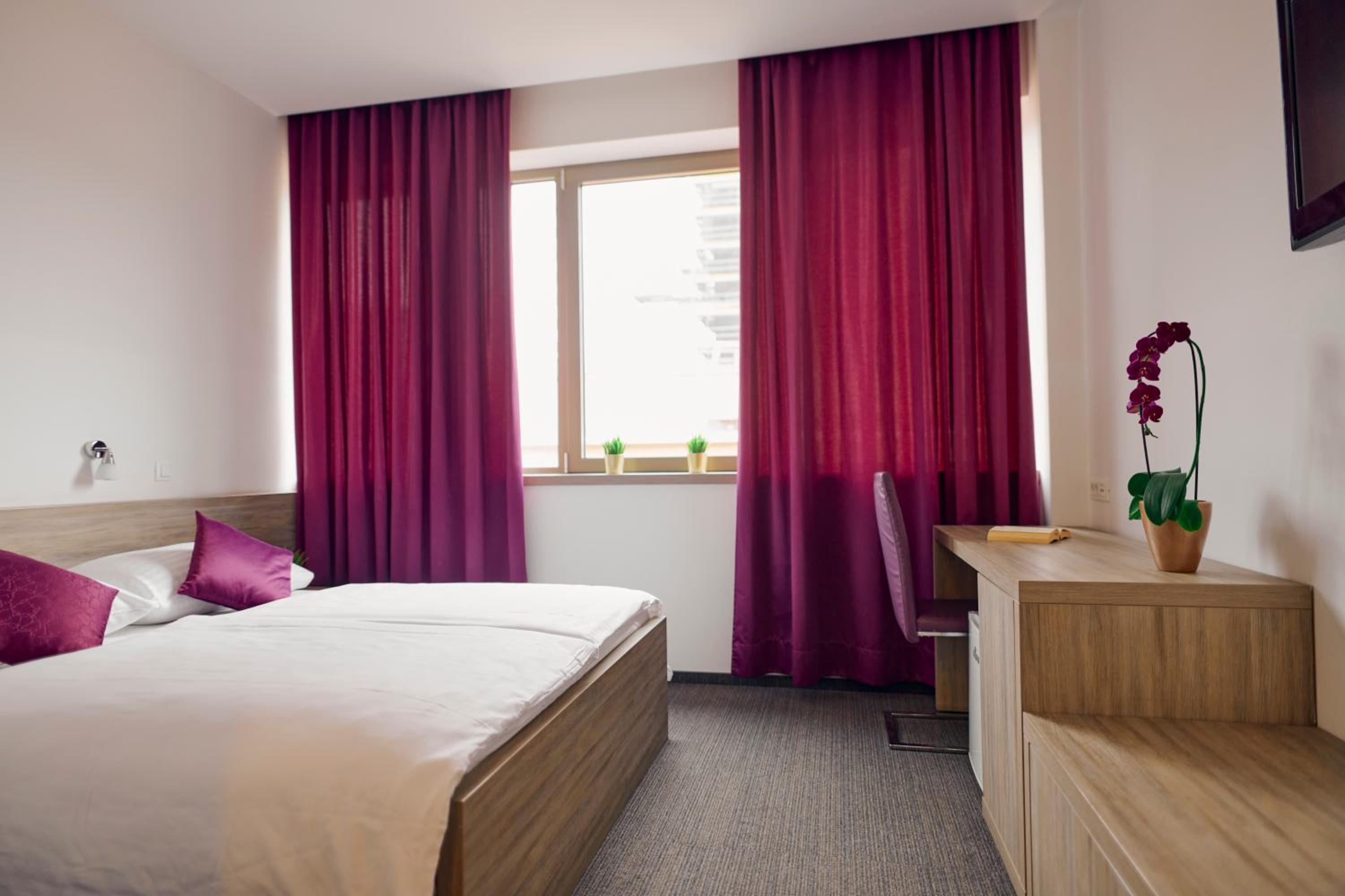 Comfort Double or Twin Room photo 1