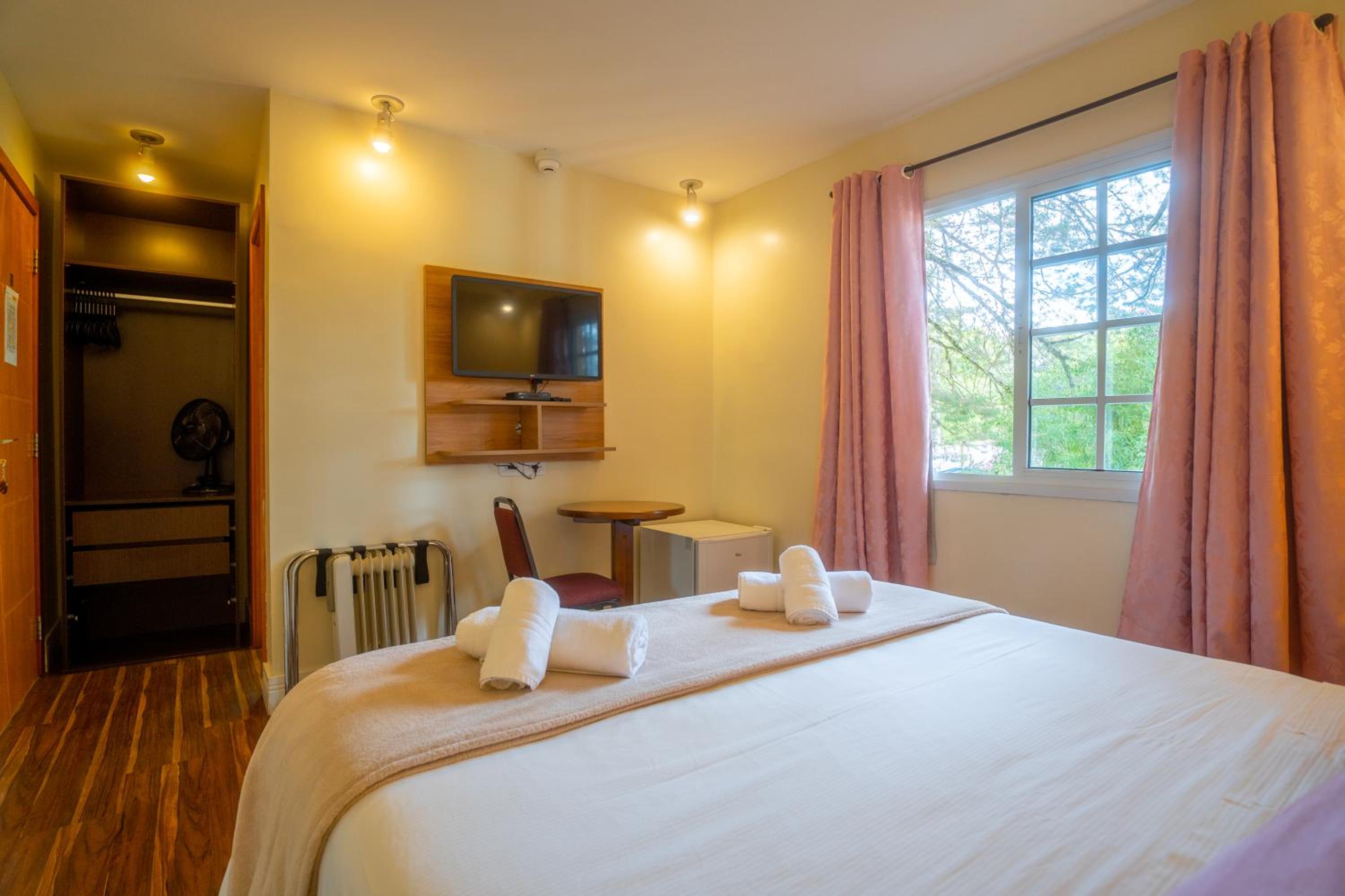 Deluxe Double or Twin Room photo 1