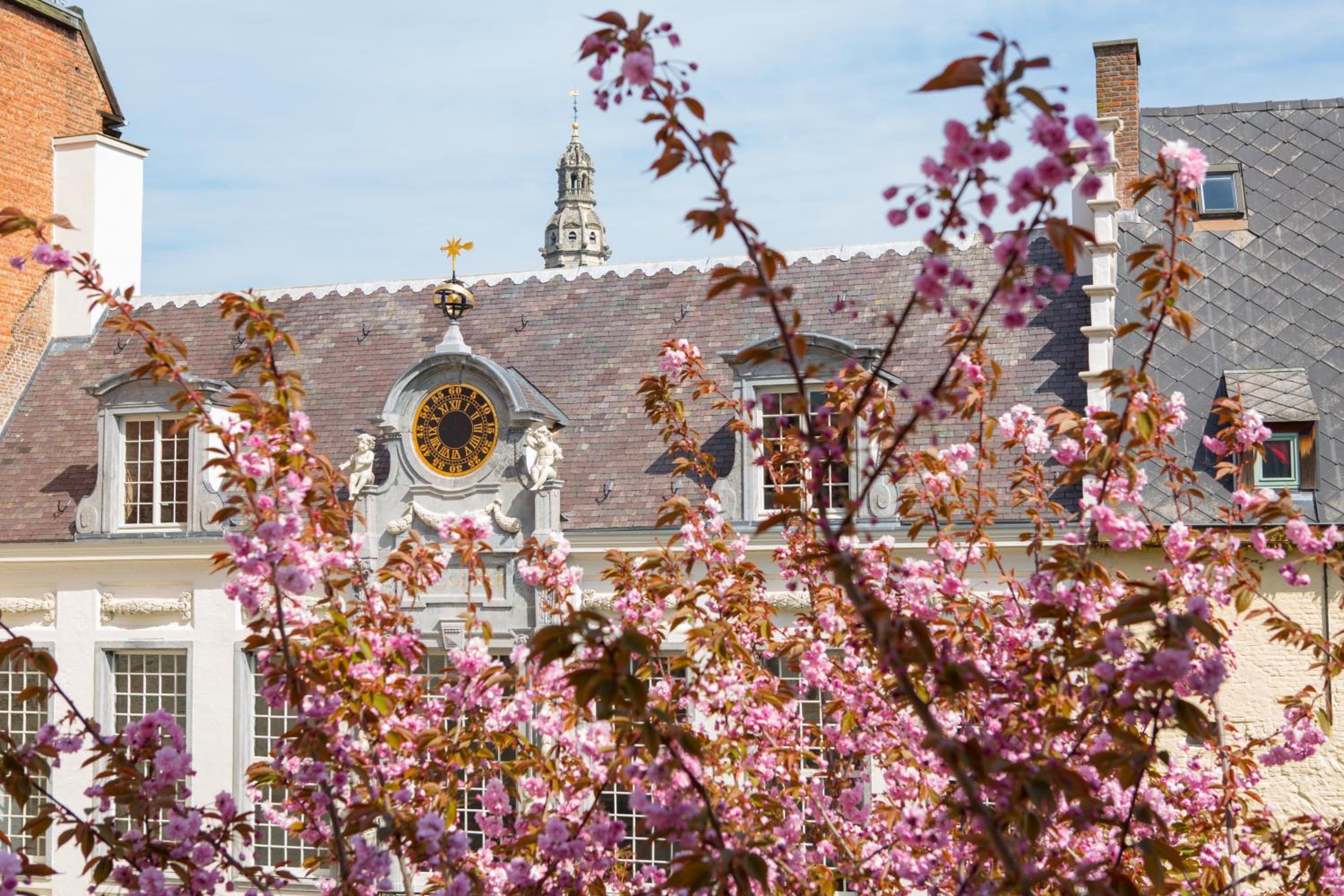 Deluxe Double Room with Garden View - Photo 13