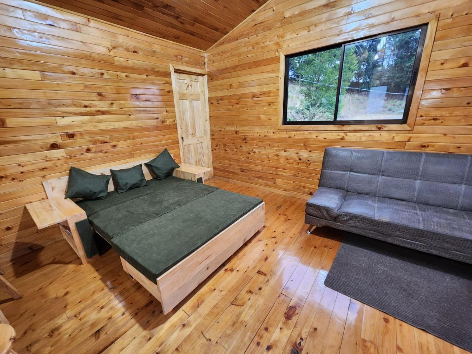 One-Bedroom House photo 2