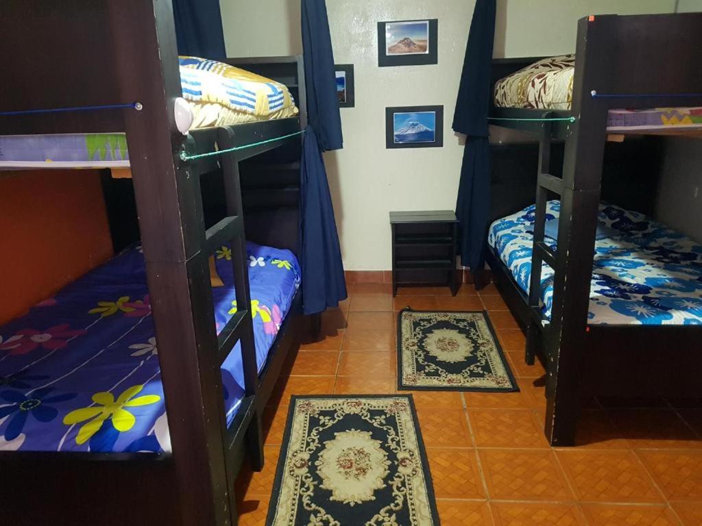 4-Bed Mixed Dormitory Room photo 1