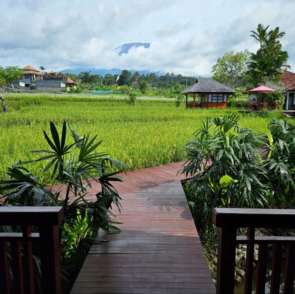 Cottage with Garden View - Photo 9