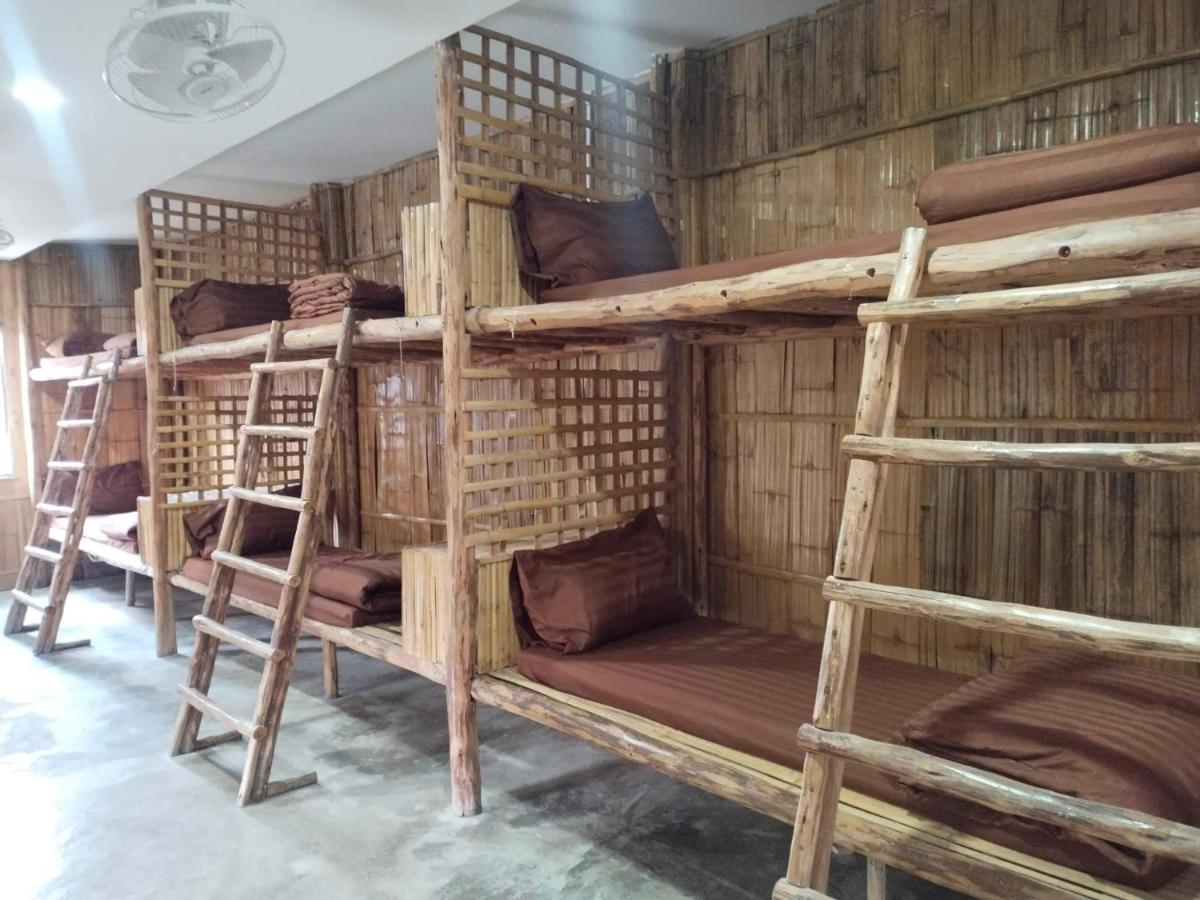 Bunk Bed in Mixed Dormitory Room photo 2
