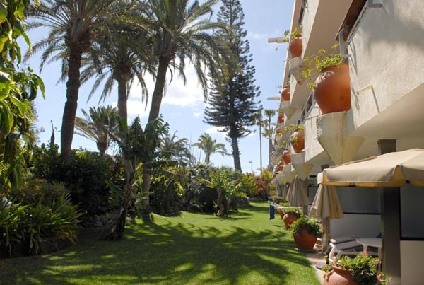 Apartment with Sea View photo 1
