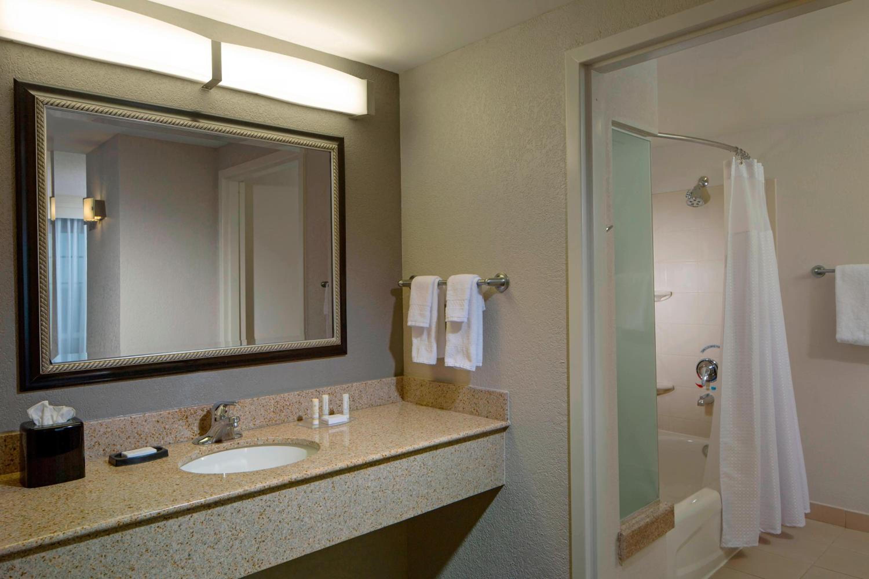 King Suite with Sofa Bed - Photo 2