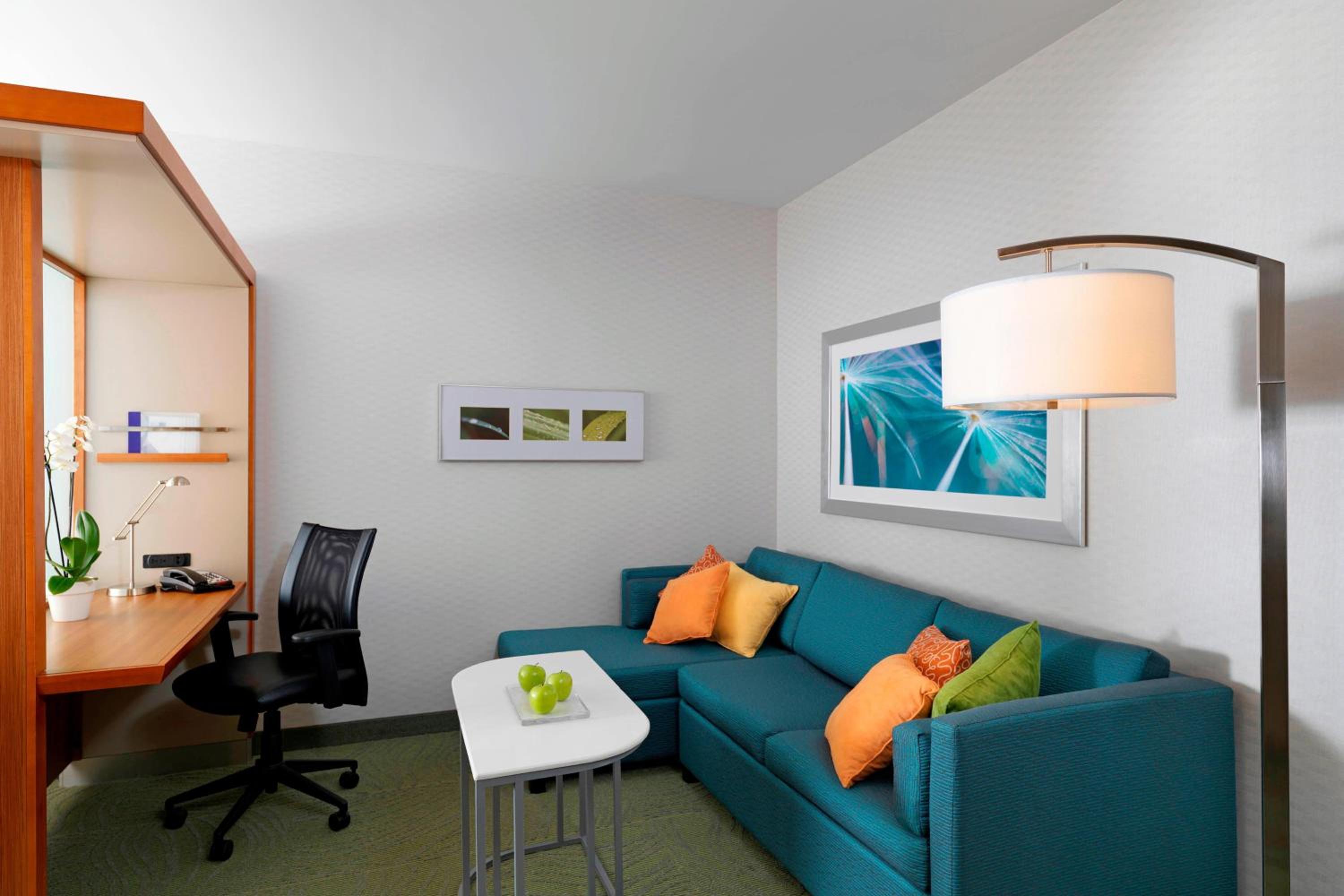 King Suite with Sofa Bed - Hearing Accessible - Photo 1