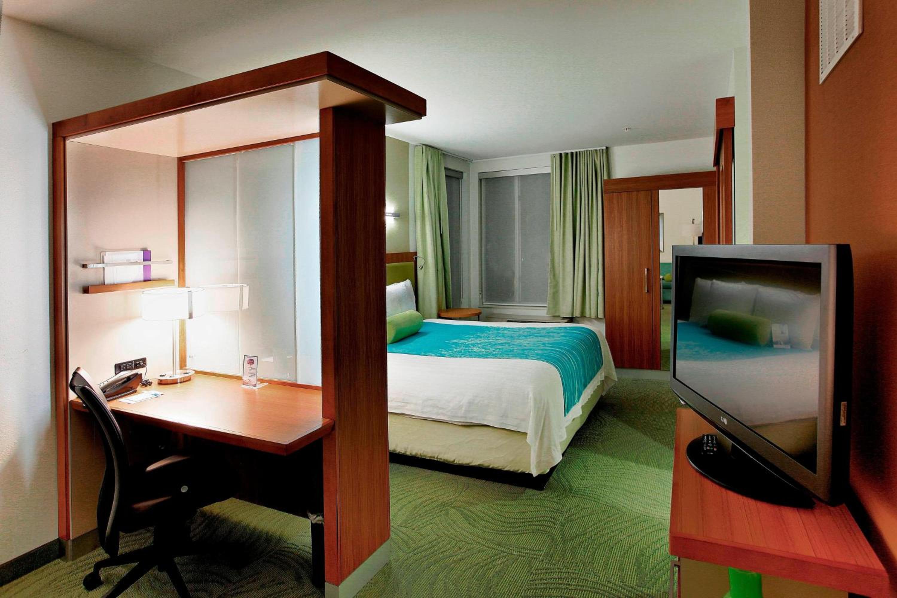 King Suite with Sofa Bed - Hearing Accessible - Photo 2