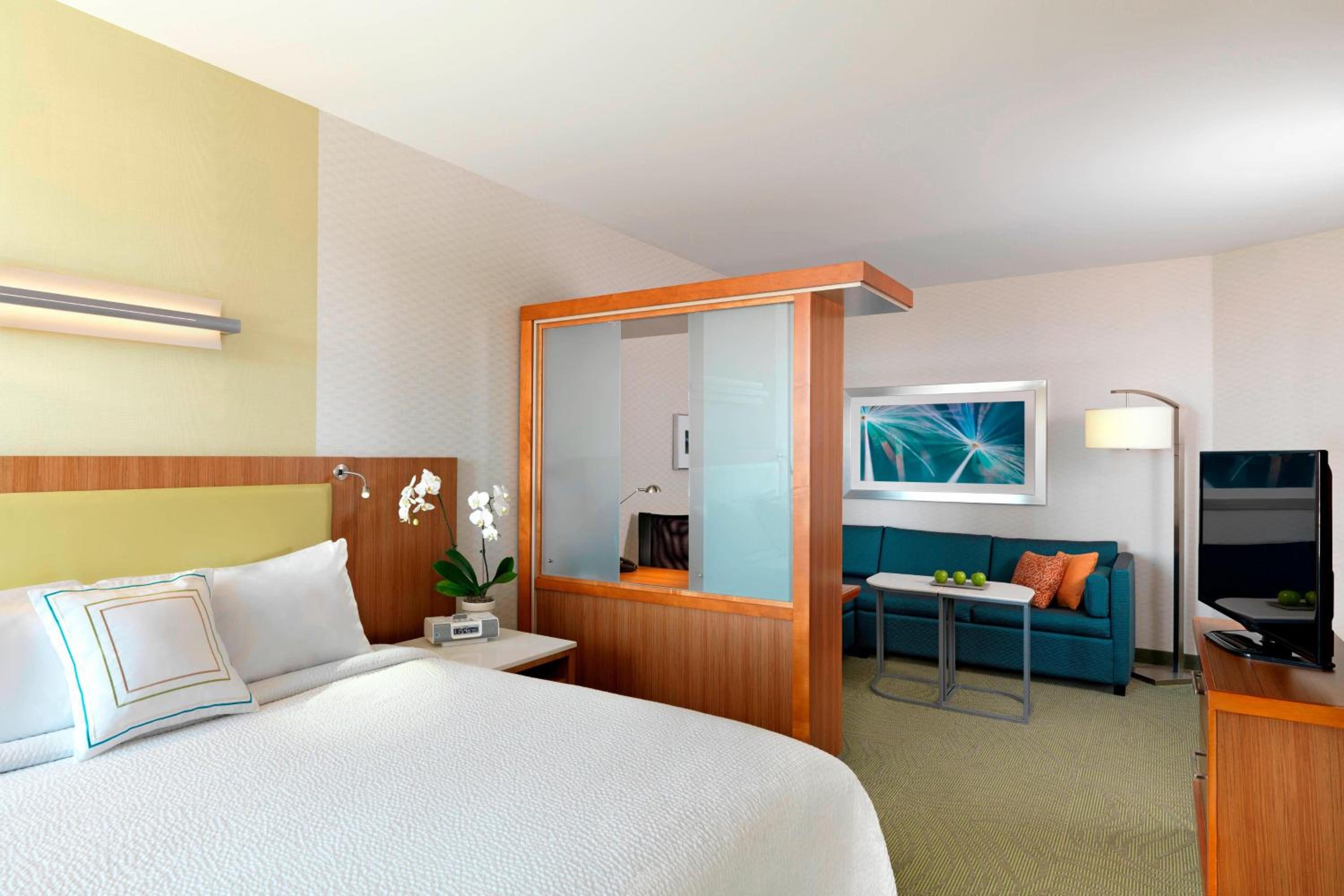 King Suite with Sofa Bed - Hearing Accessible - Photo 3
