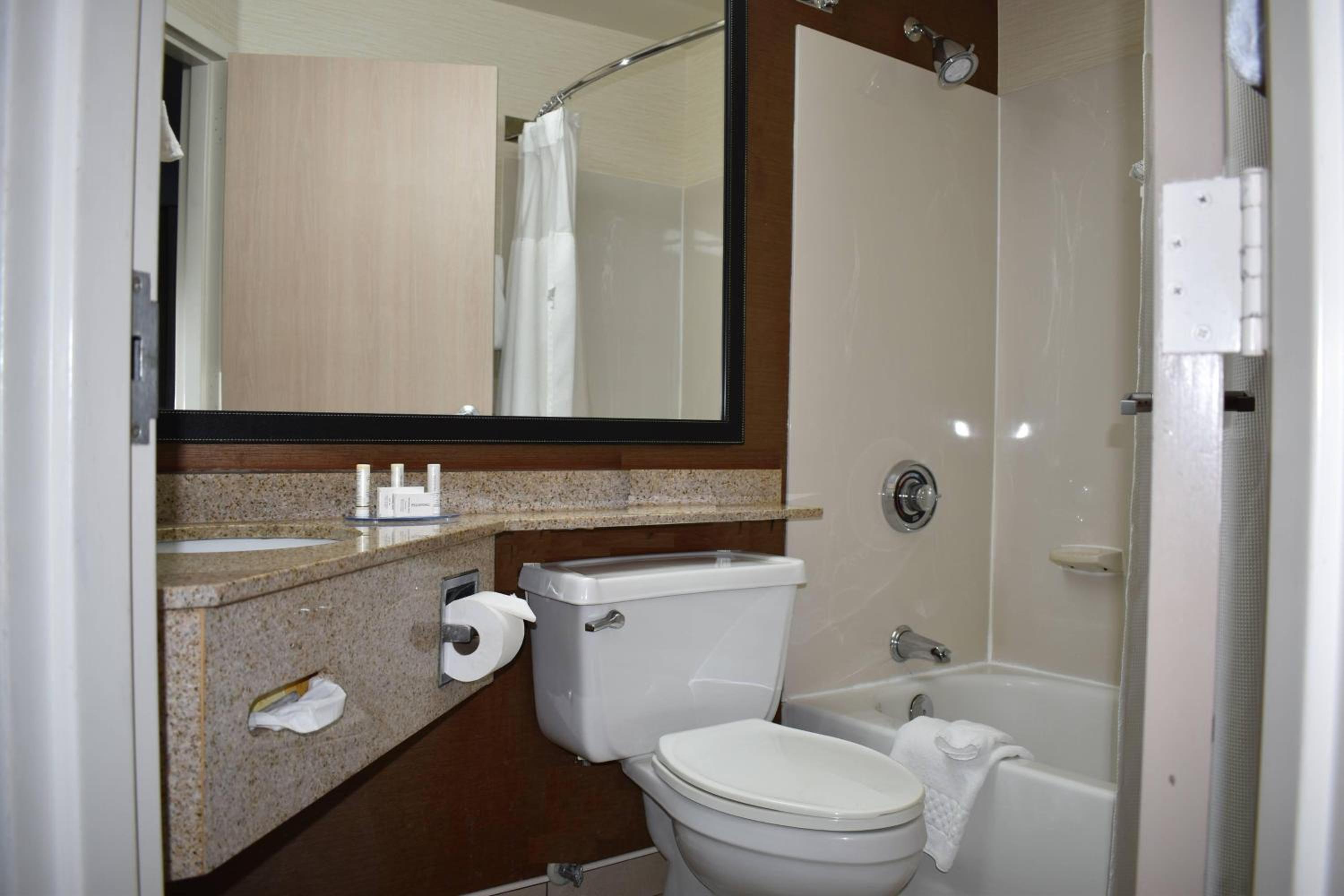 King Room with Adapted Tub - Mobility Accessible - Photo 3