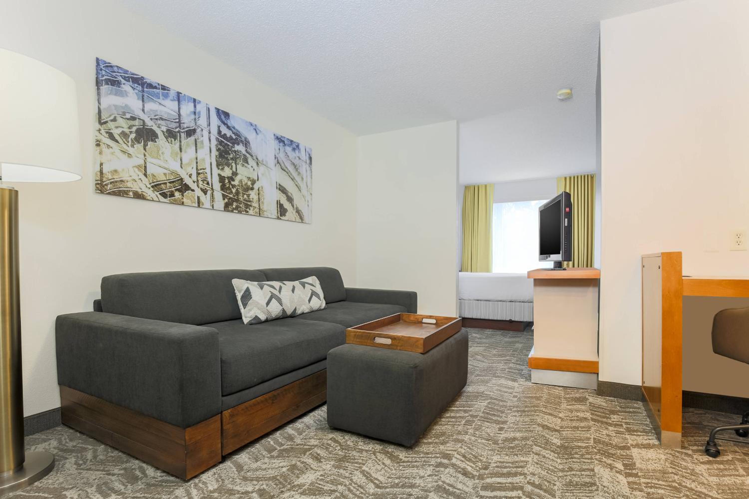 King Suite with Sofa Bed - Photo 1
