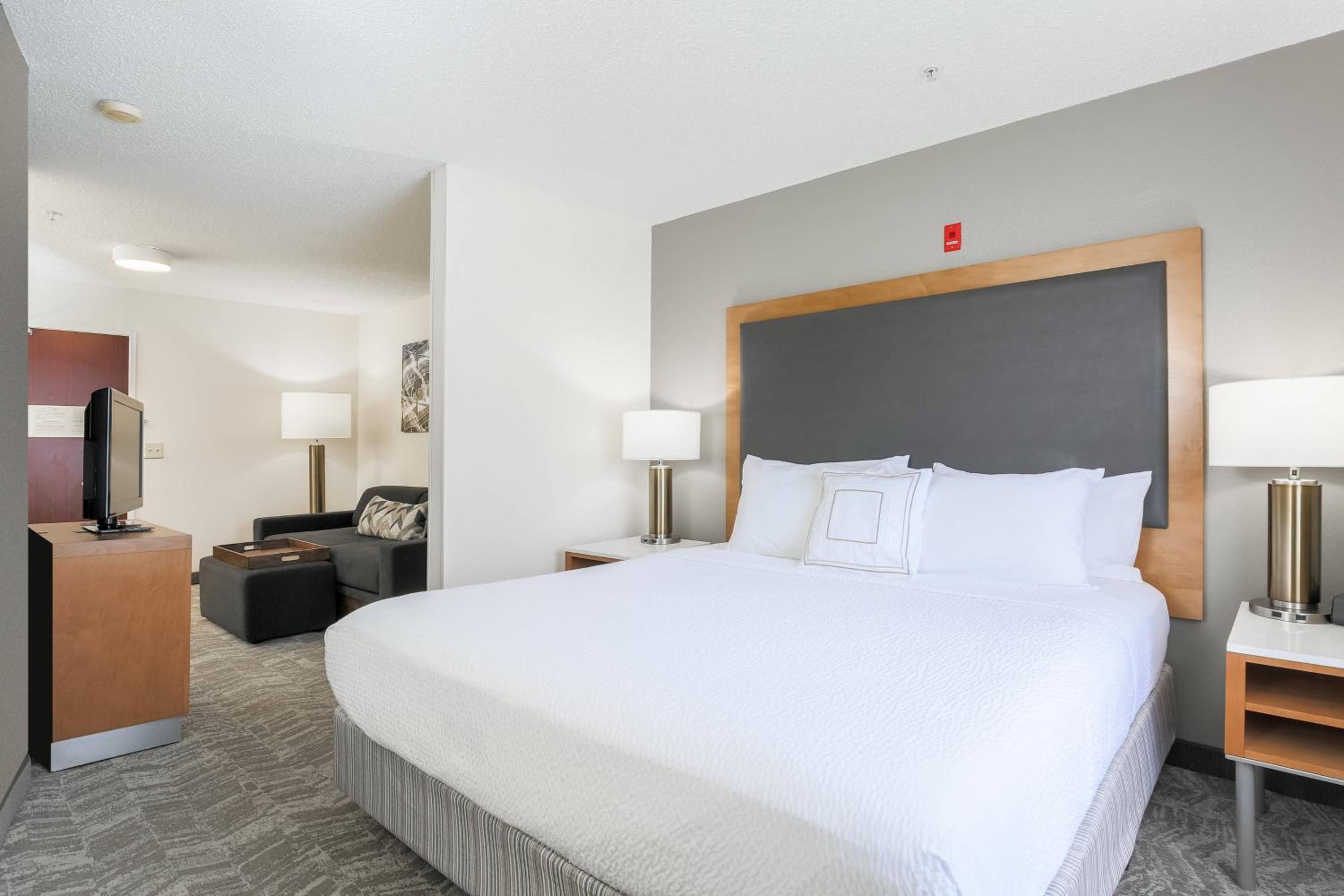 King Suite with Sofa Bed - Photo 7