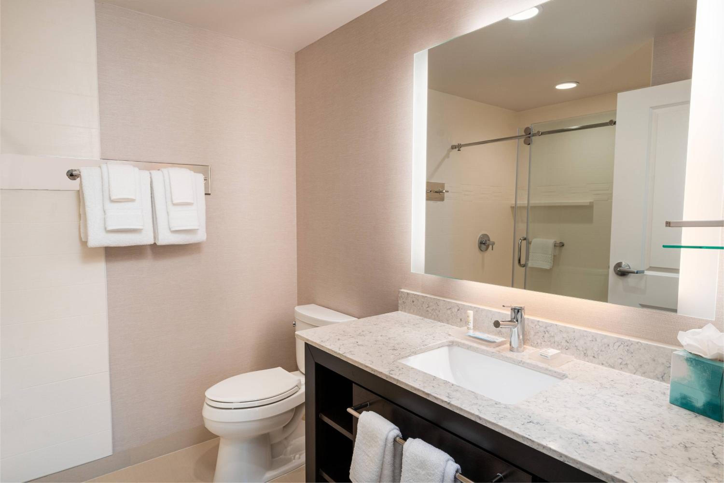 One-Bedroom King Suite with Sofa Bed - Photo 2
