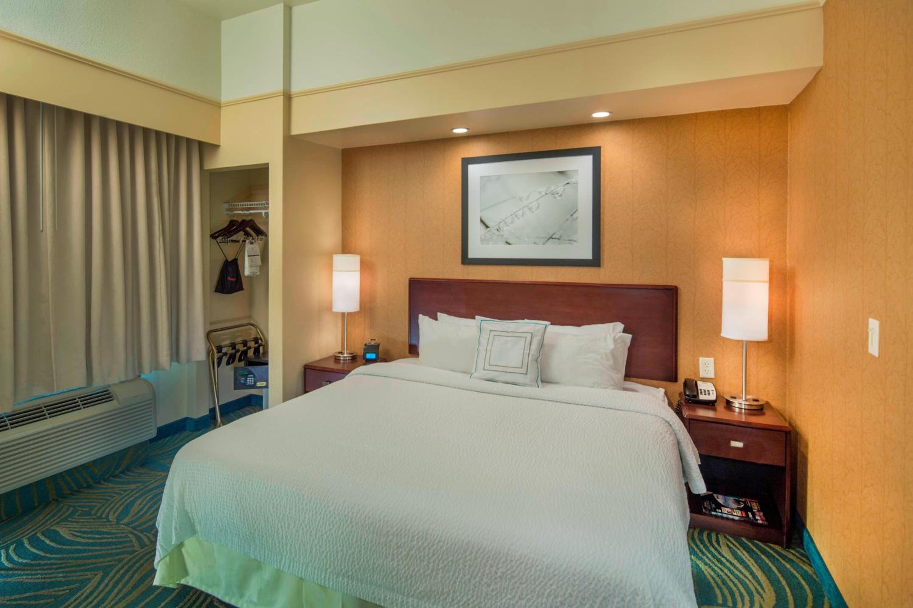 King Suite with Sofa Bed - Photo 1