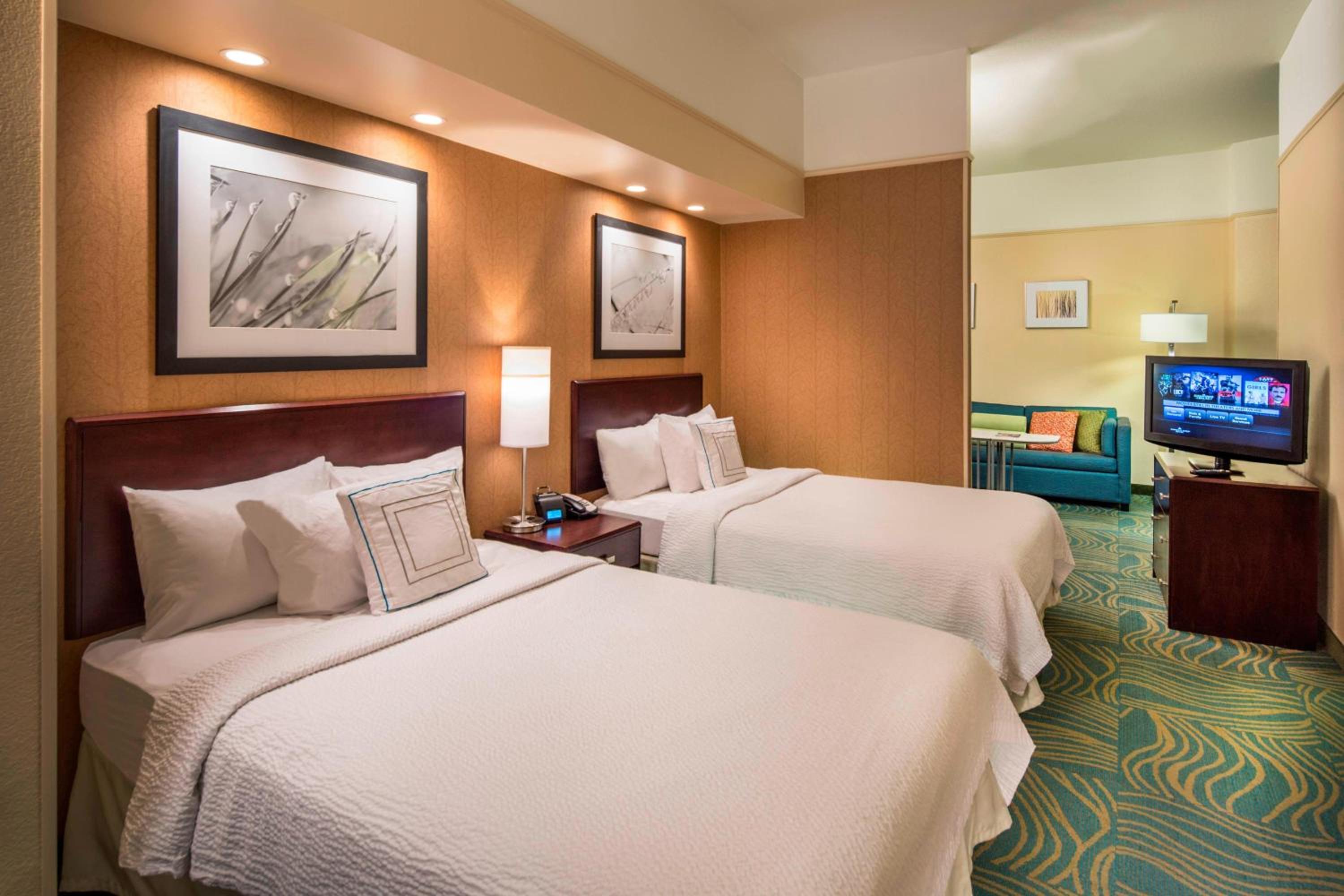 Double Suite with Sofa Bed - Photo 1