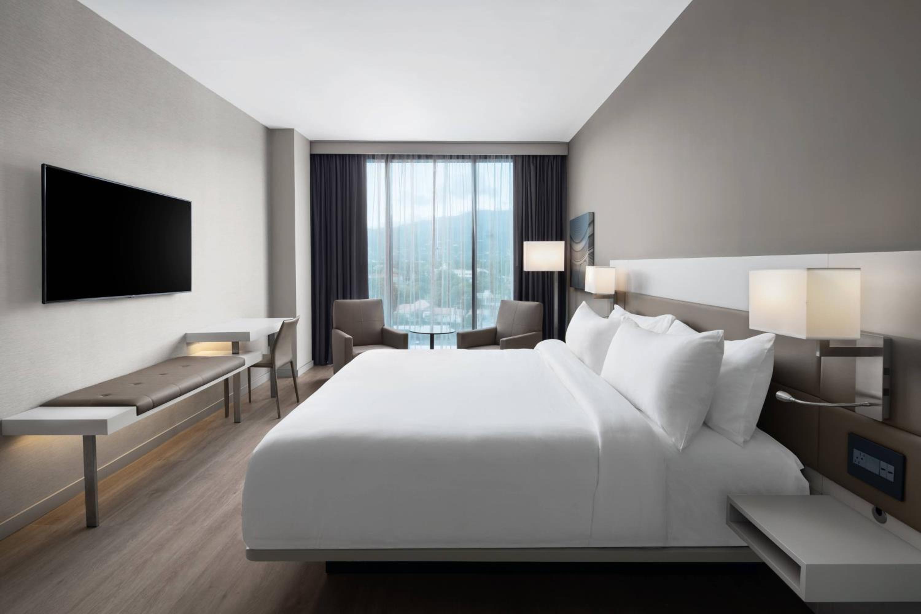 Suite, One King, Sofa Bed  photo 2