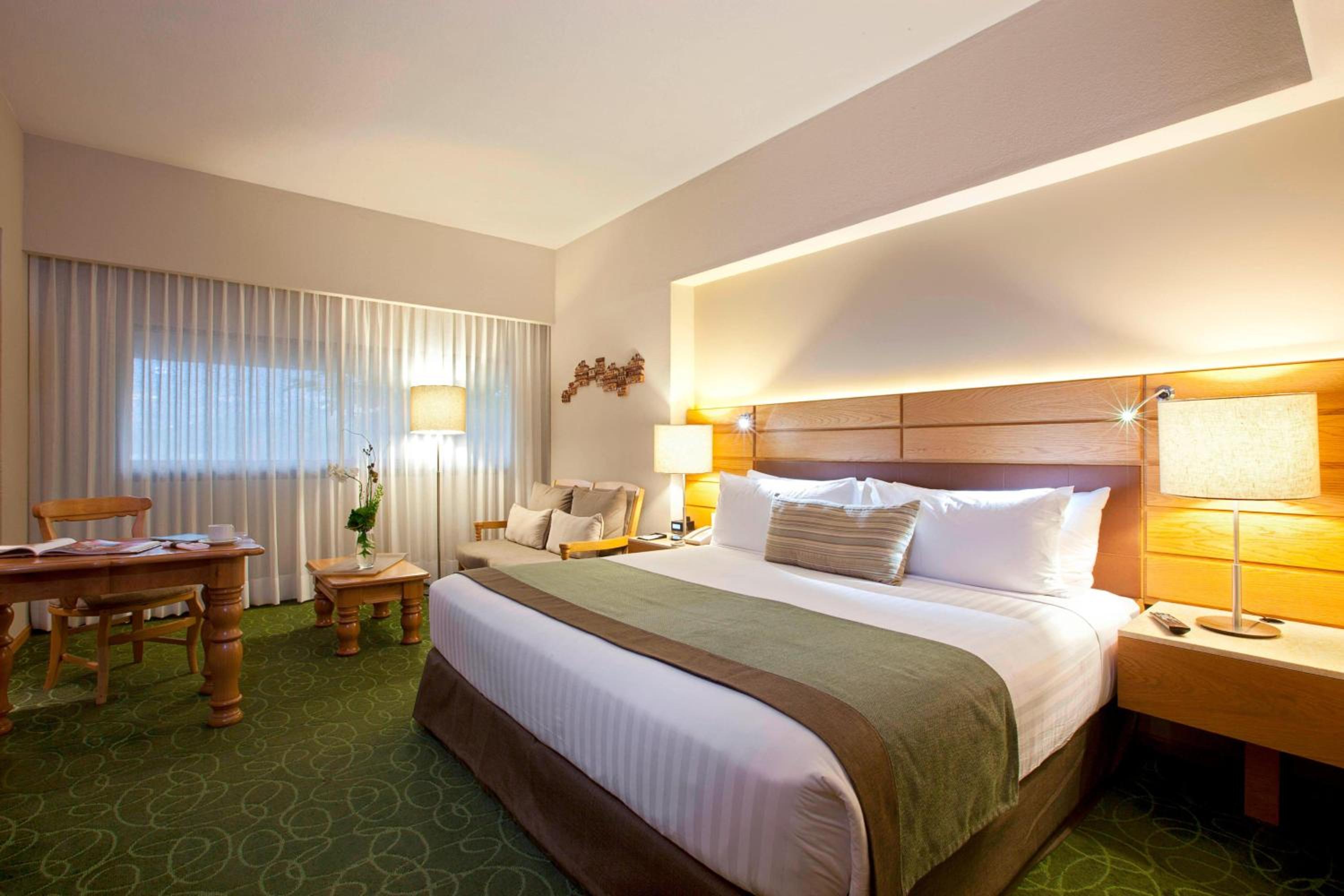 Deluxe, Guest room, 1 King Bed           - Photo 3