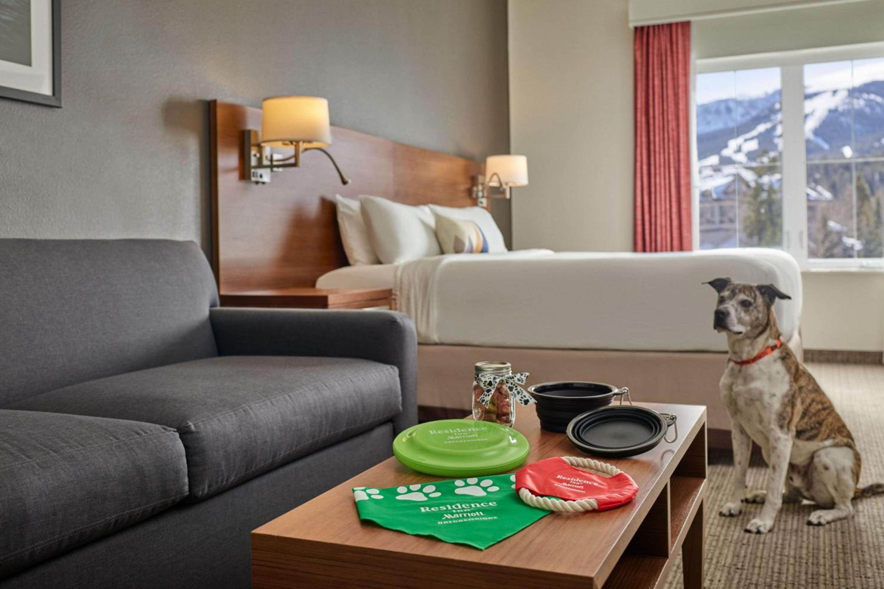 One-Bedroom Suite - Photo 3
