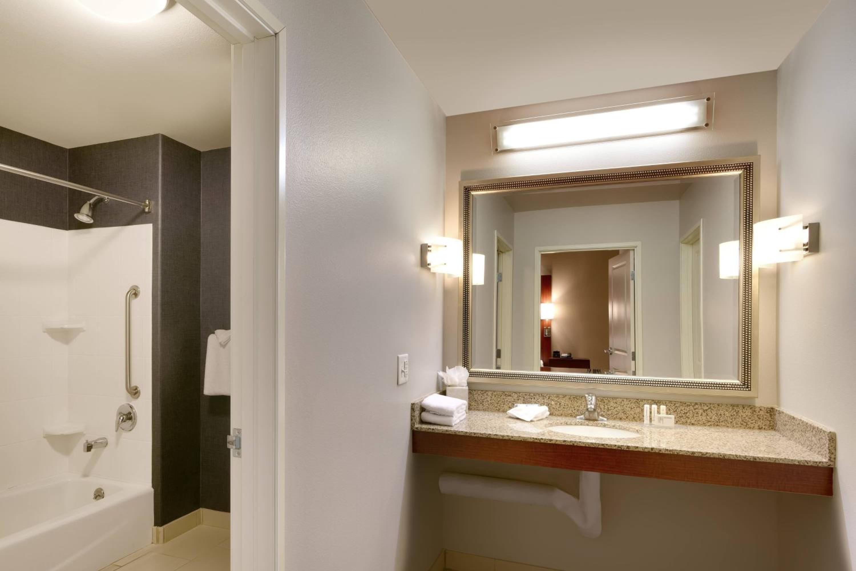 One-Bedroom King Suite with Sofa Bed  - Photo 3