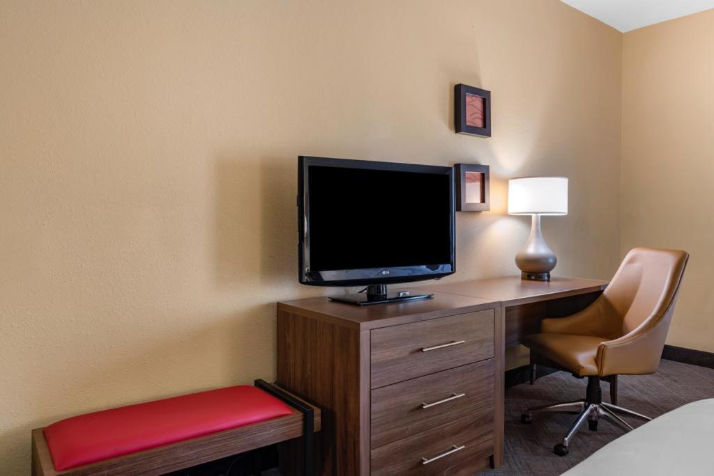 Standard Room, 1 King Bed, Non-Smoking, Accessible - Photo 12