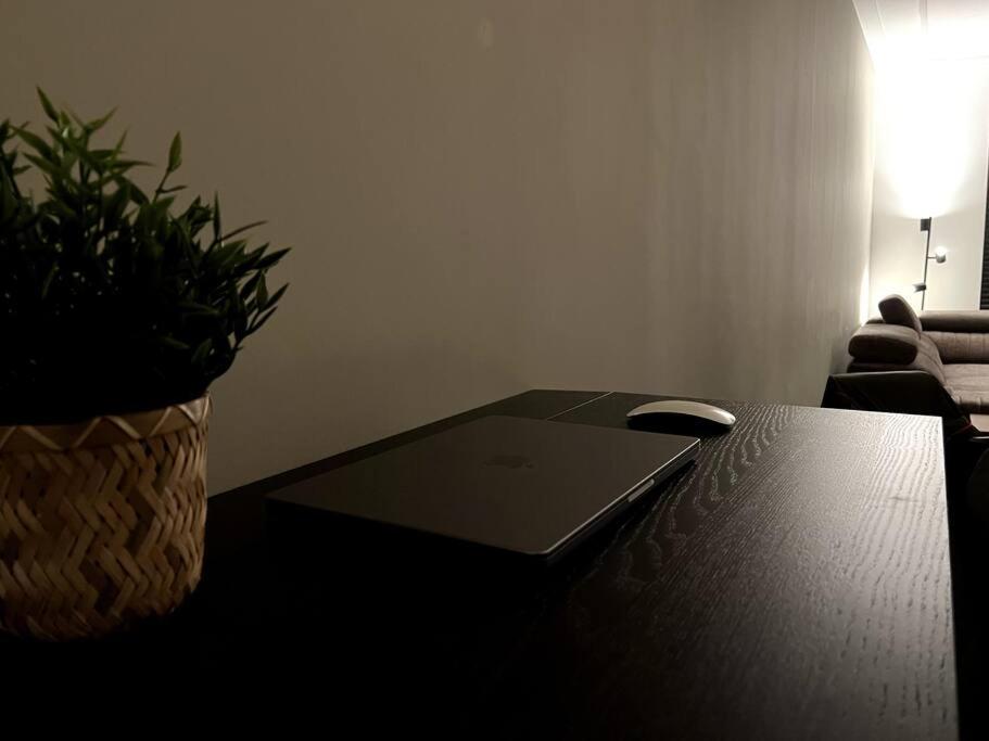 One-Bedroom Apartment photo 3