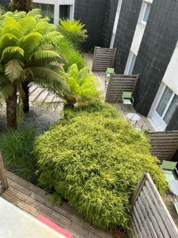 Comfort Double Room with Patio and Large Bed - Photo 2