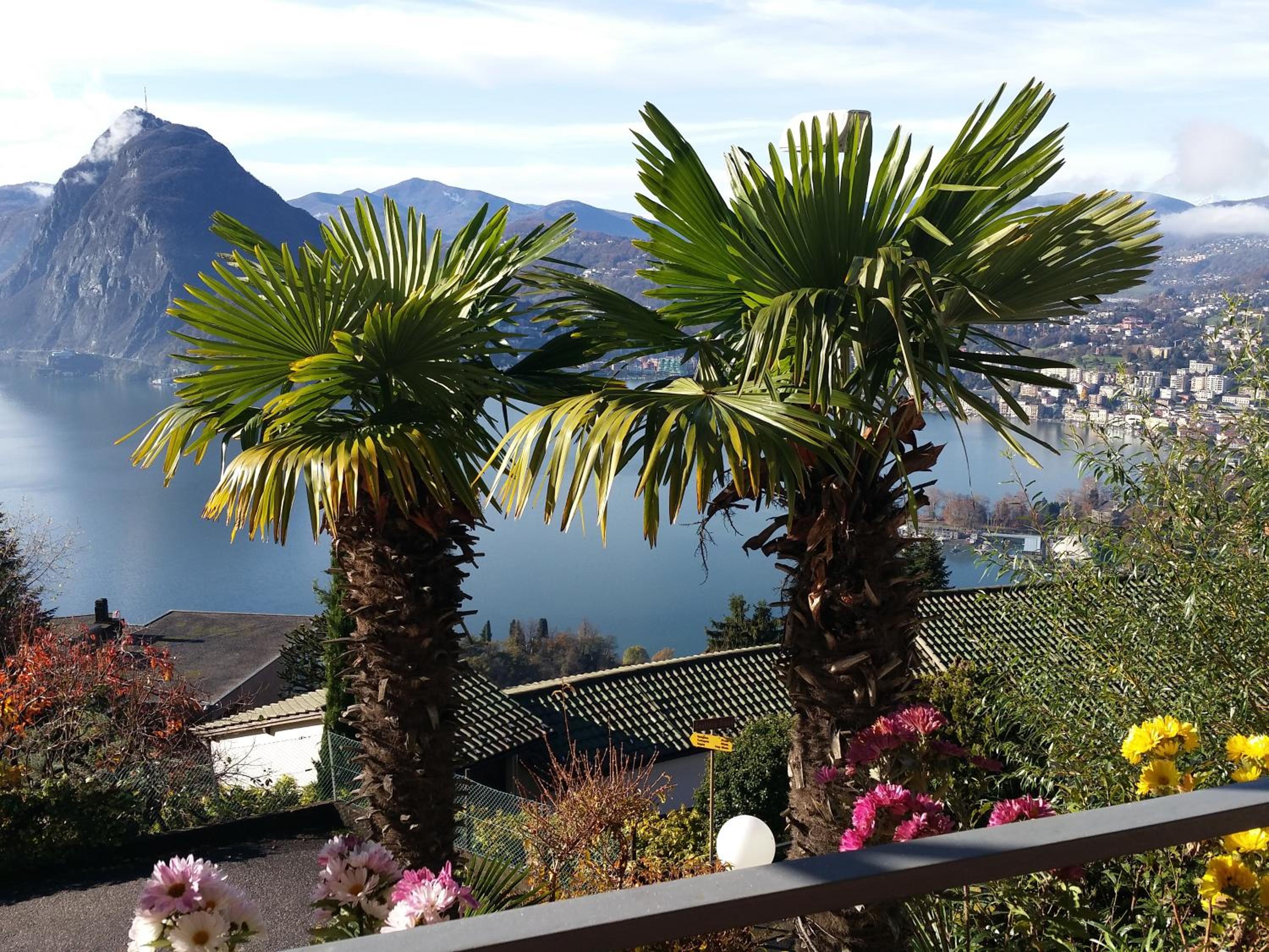 Triple Room with Lake View and Balcony - Photo 2