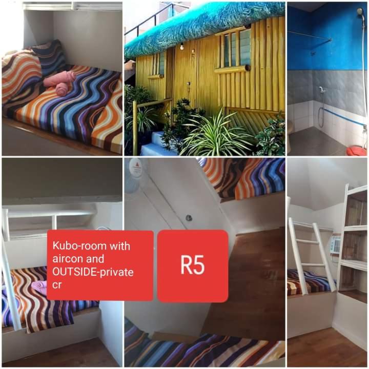 4-Bed Mixed Dormitory Room photo 1