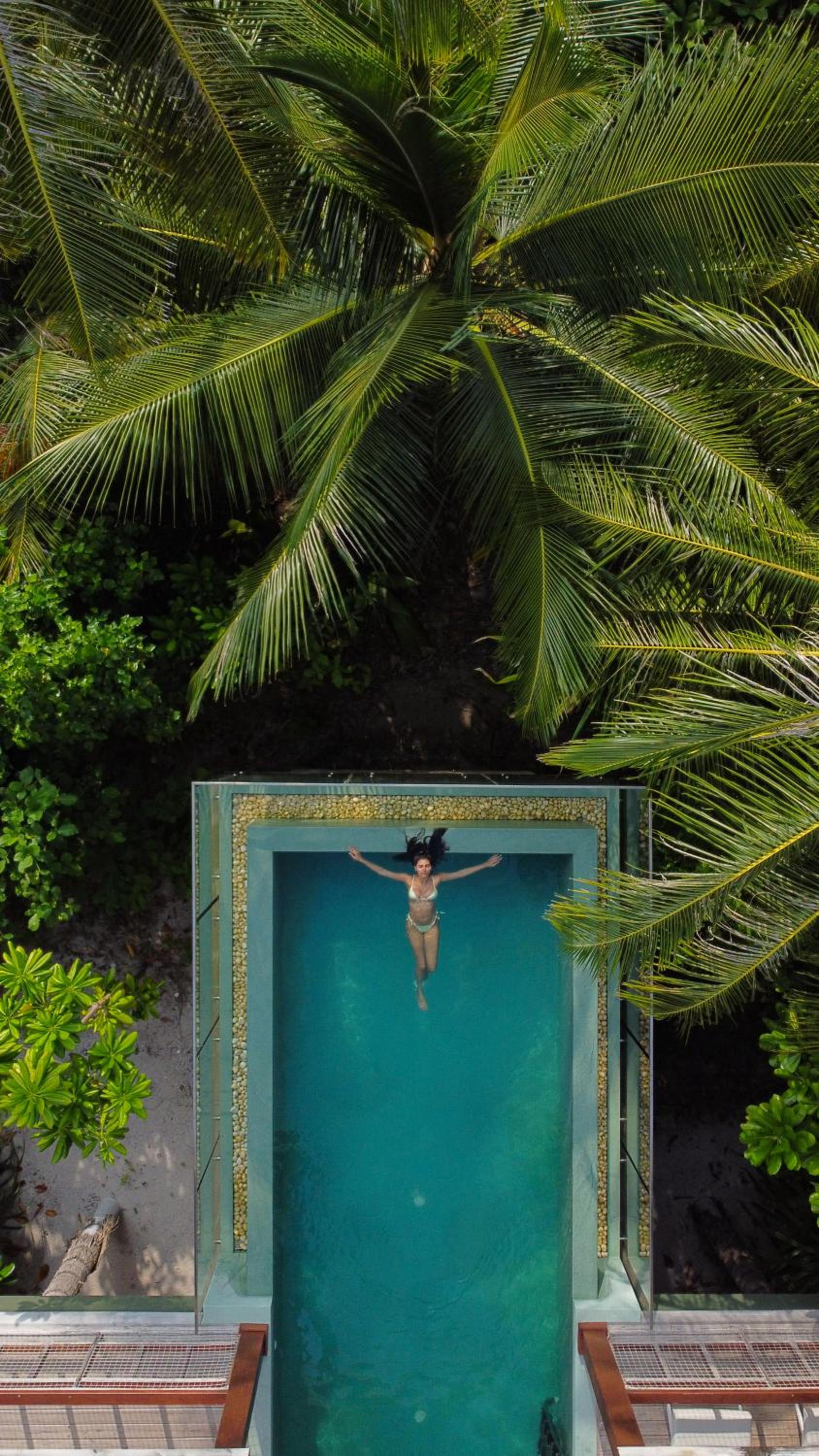 Two bedroom treetop pool villa photo 3