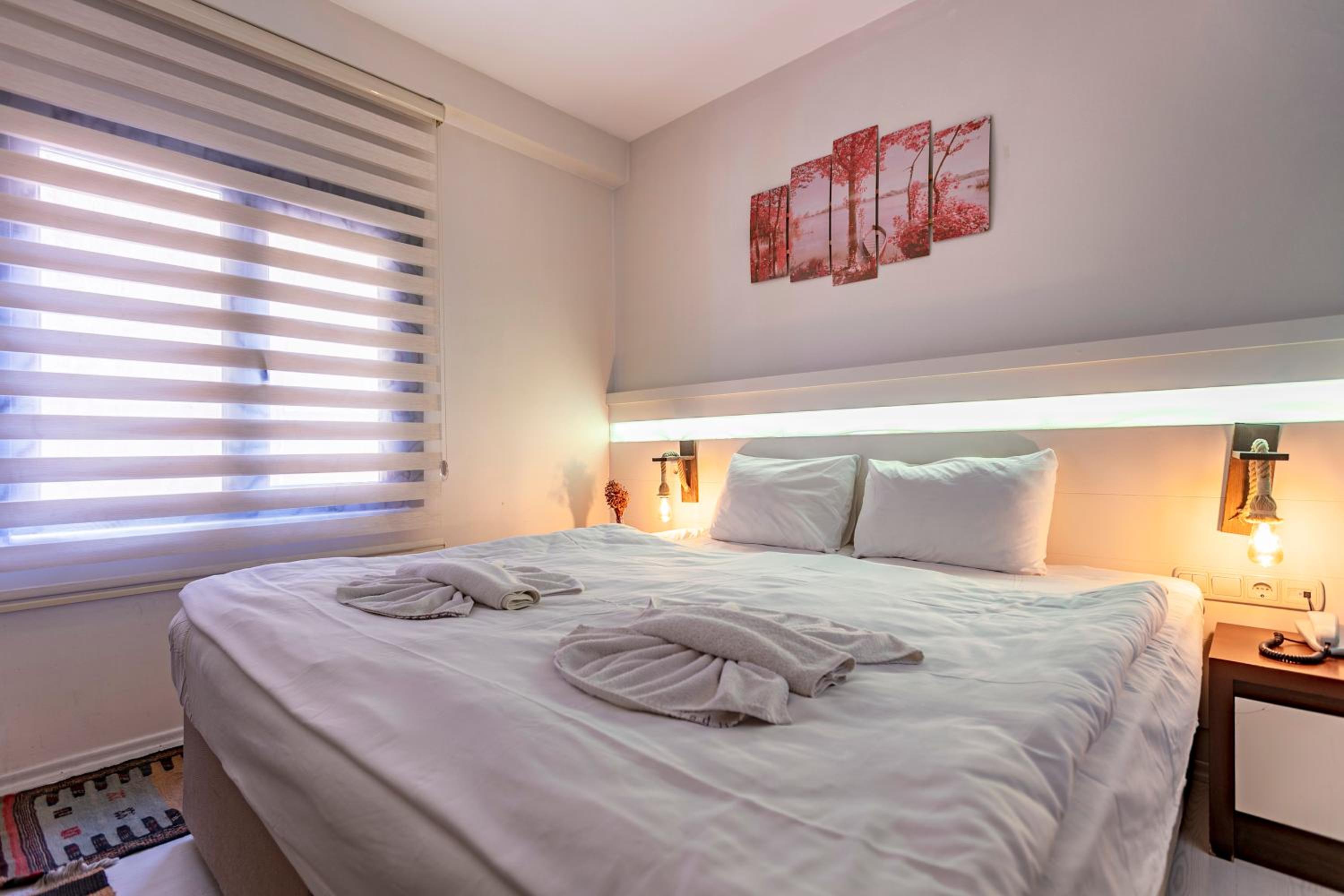 Standard Double or Twin Room photo 3