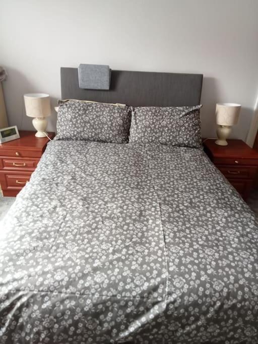 Large Single Room photo 2