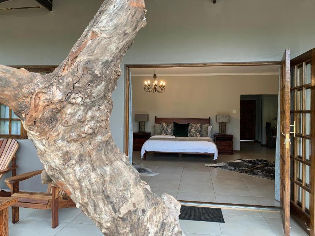 Luxury King Room photo 1
