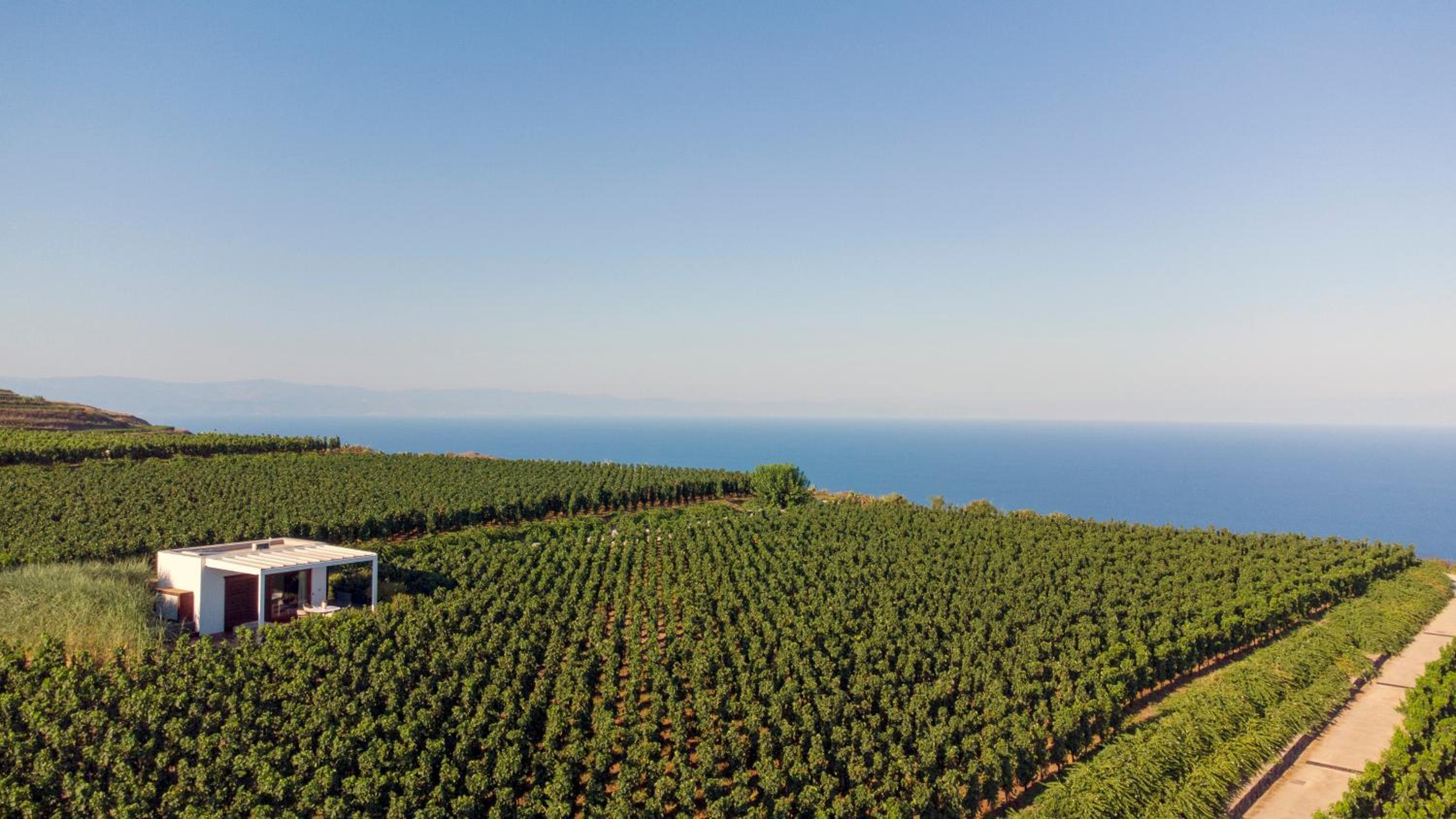 Villa with Sea View - Photo 8
