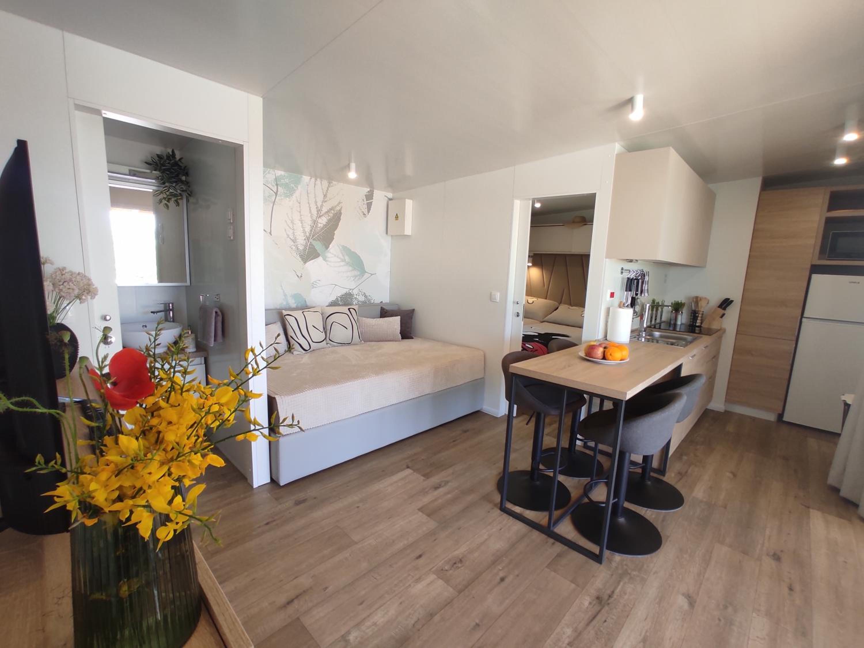 Mobile Home photo 1