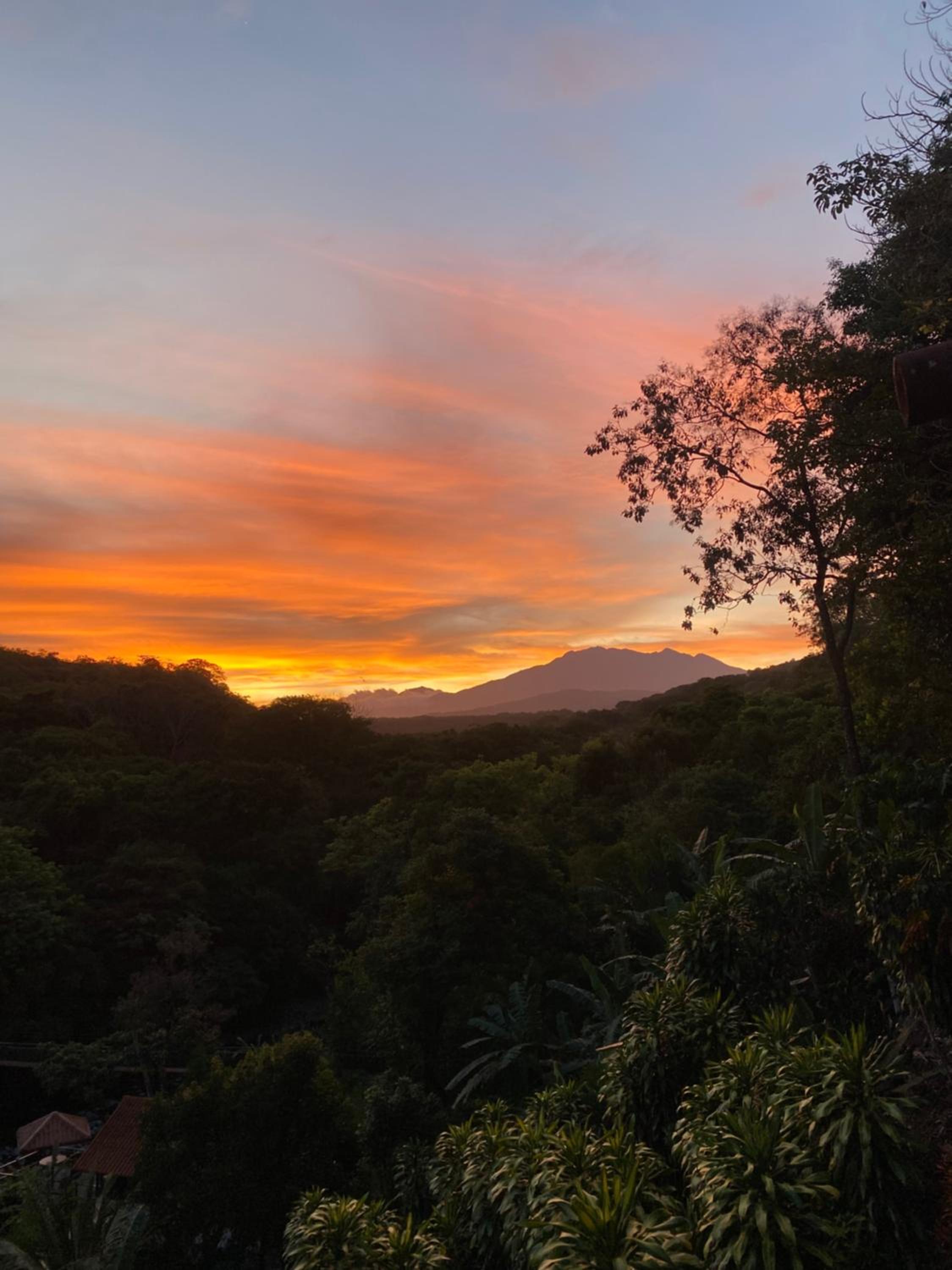 One-Bedroom House photo 2