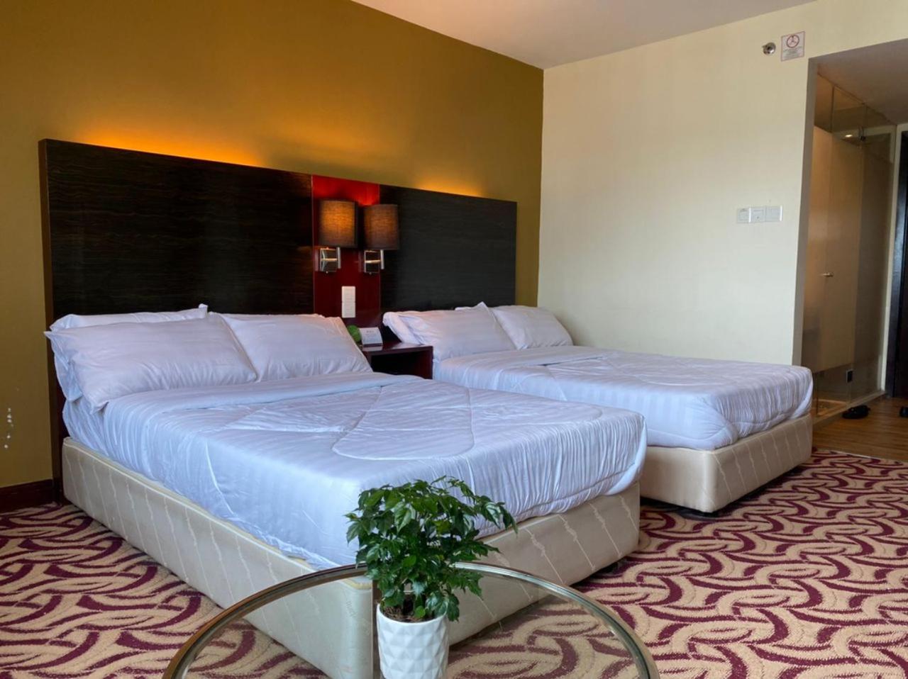 Suite photo 1