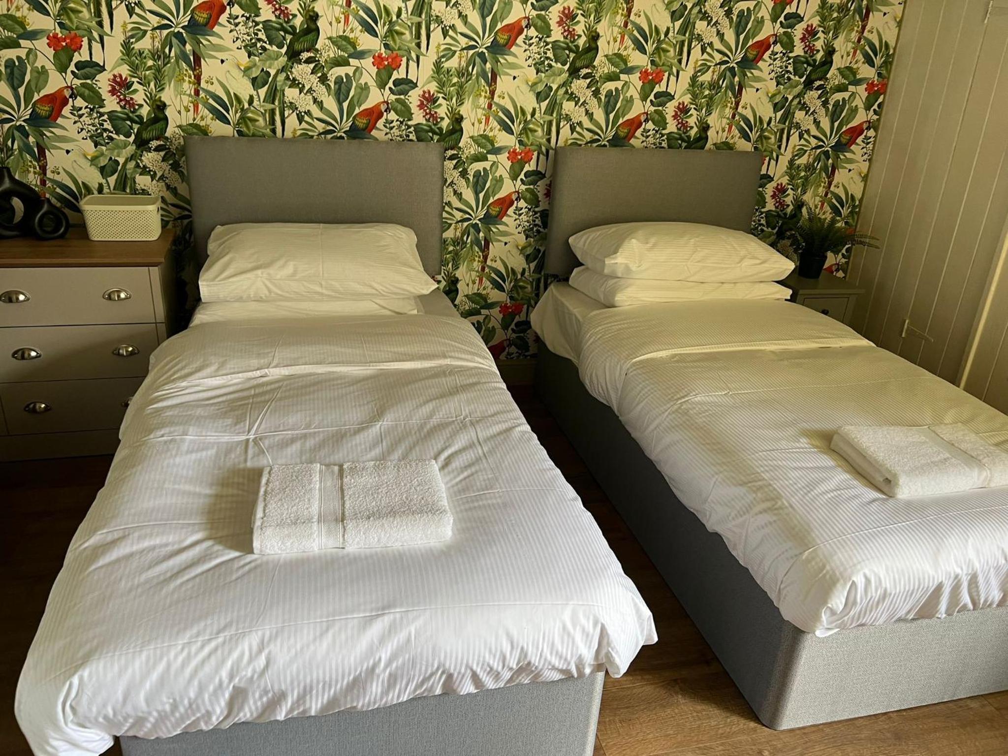 Double or Twin Room photo 3