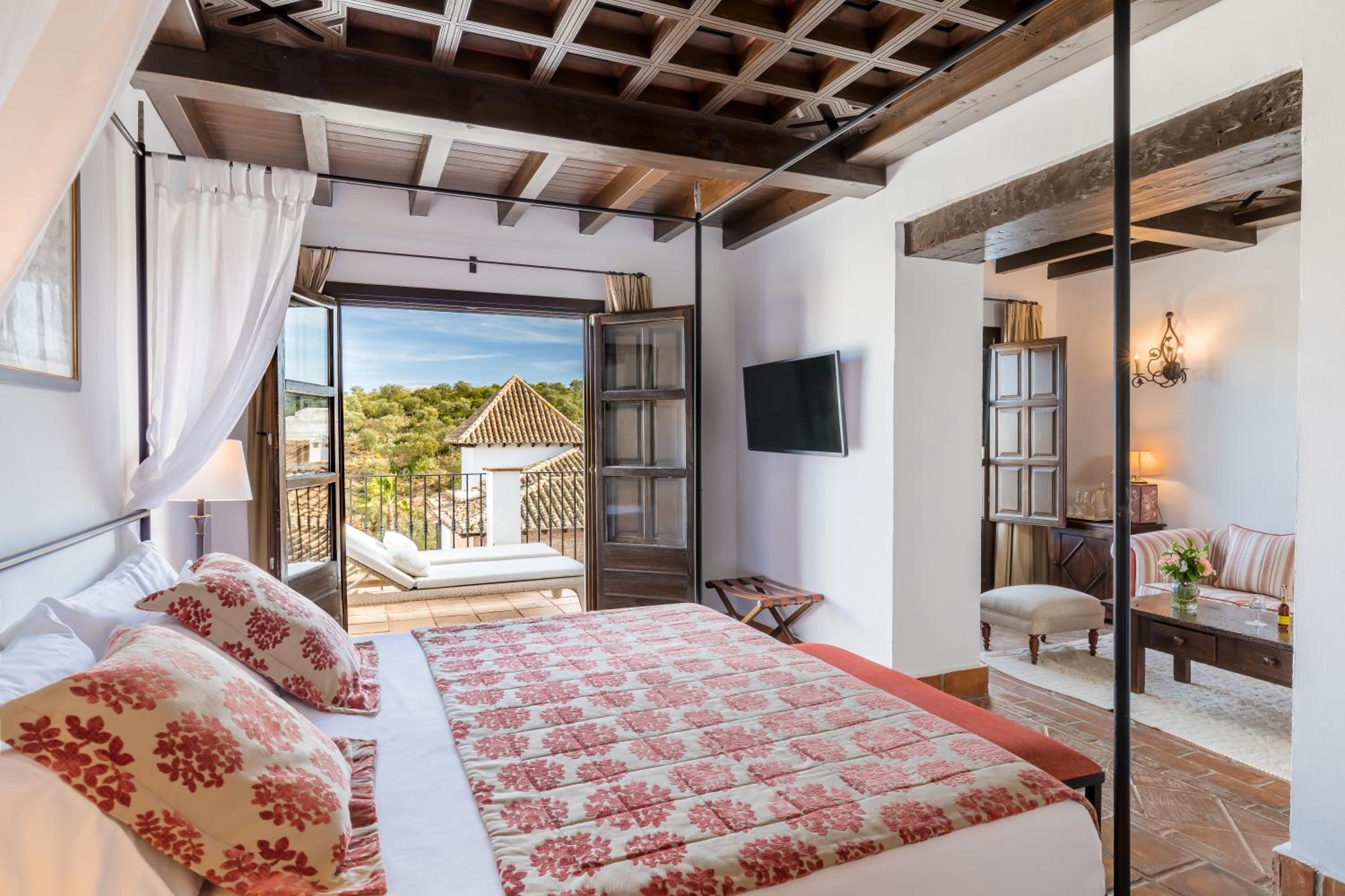 Junior Suite with Terrace