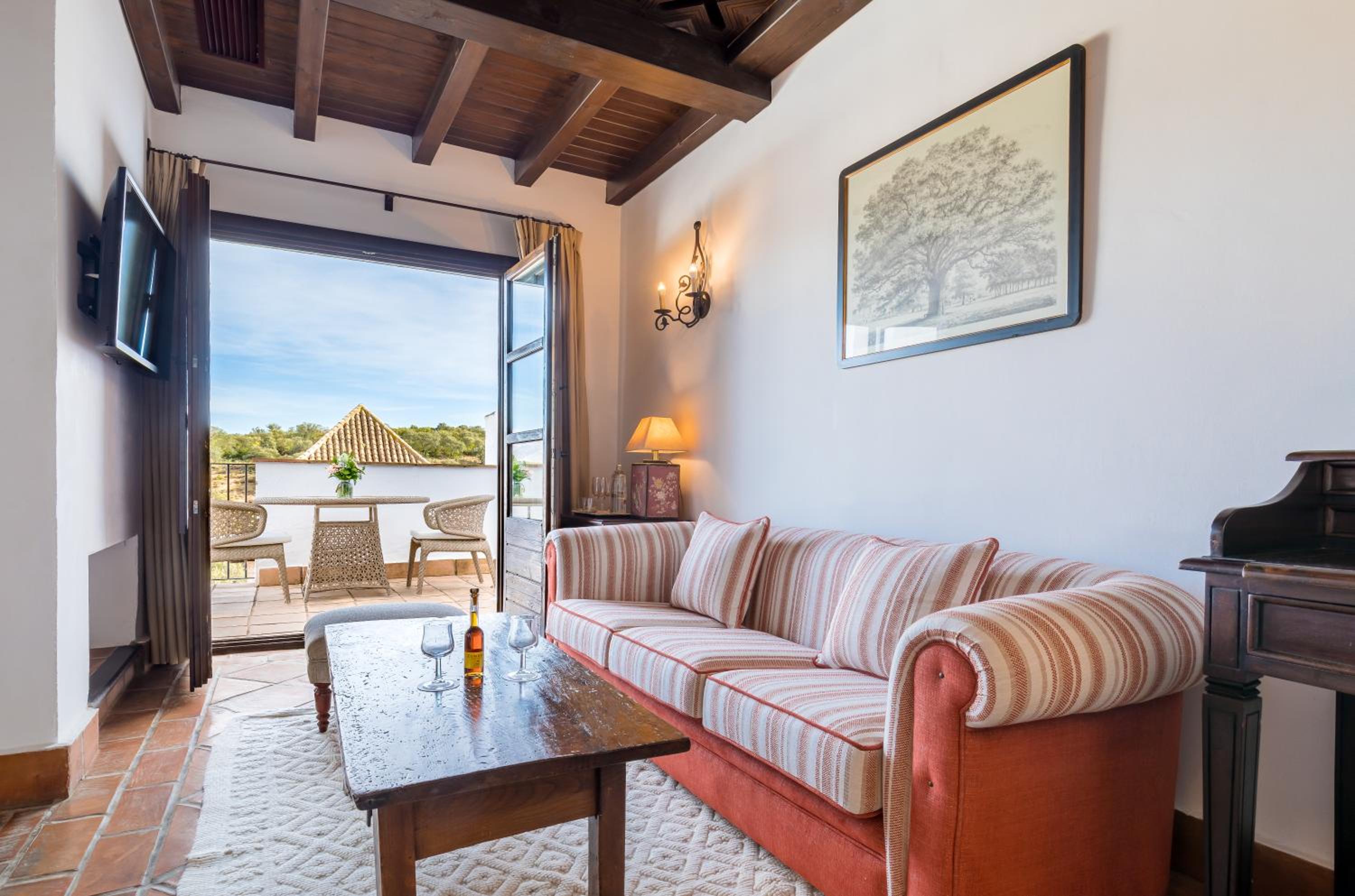 Junior Suite with Terrace