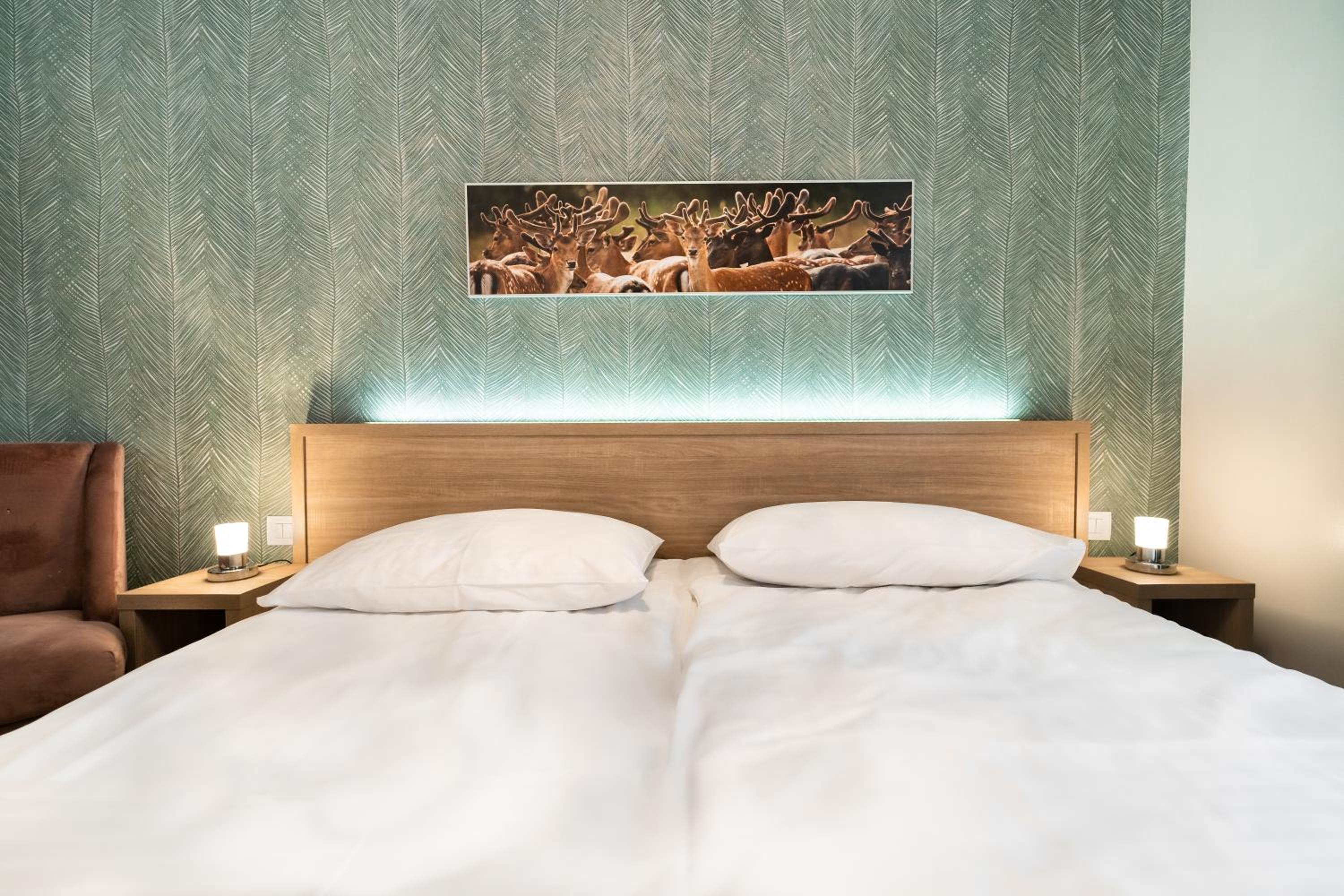Double or Twin Room photo 1