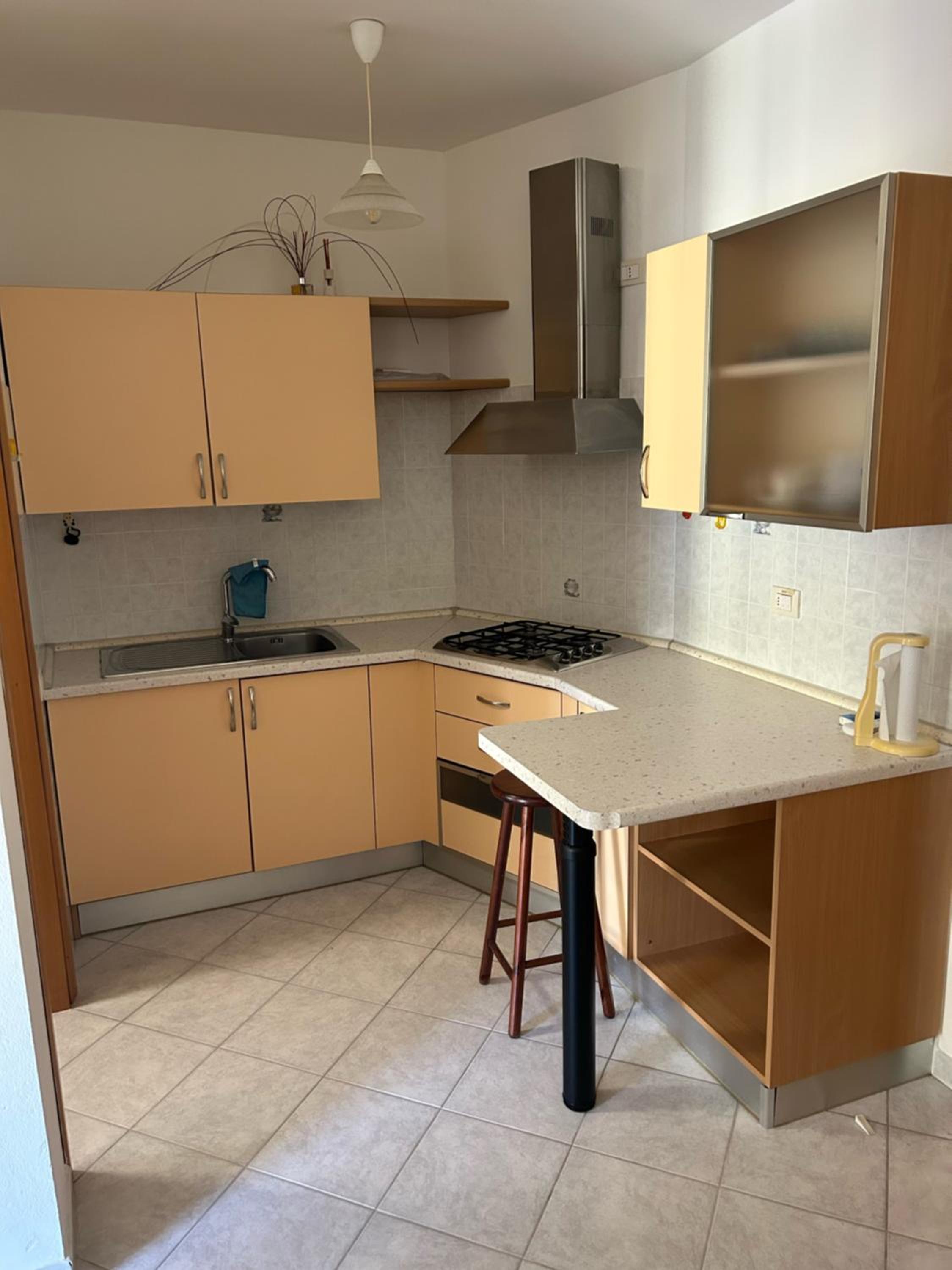 One-Bedroom Apartment photo 2
