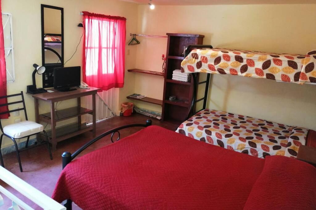 Five-Bedroom House photo 3