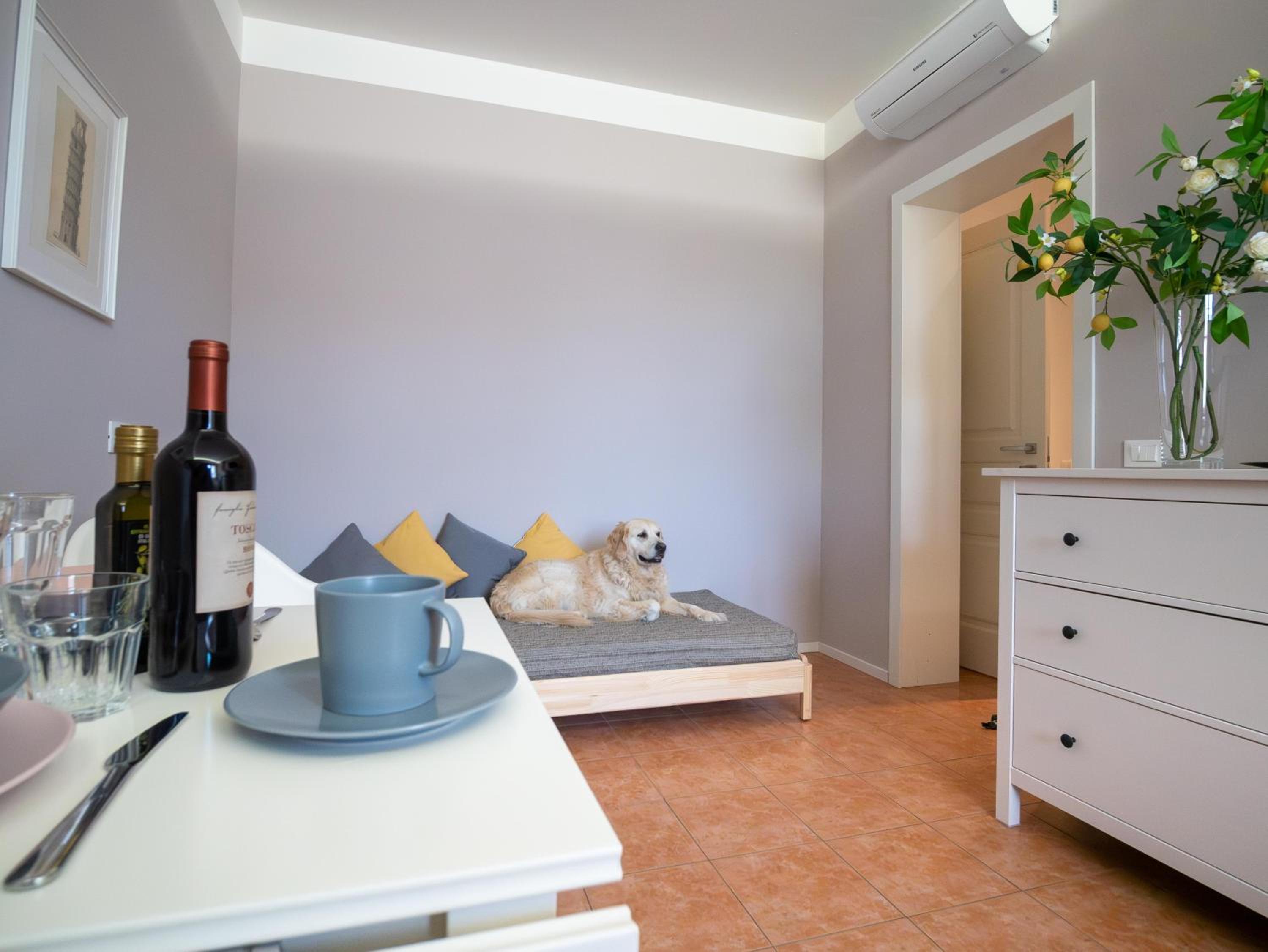 Superior Apartment photo 2