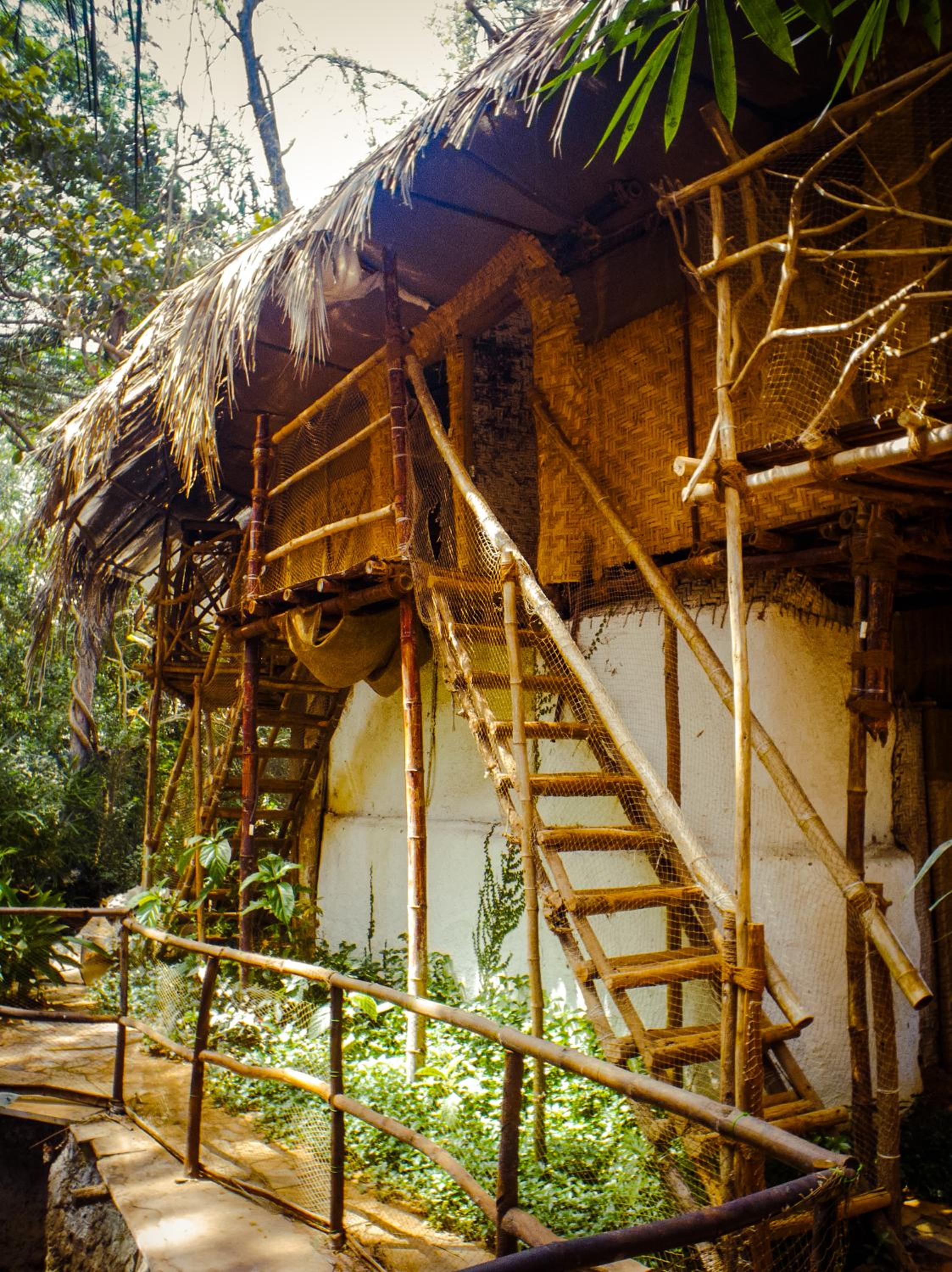 Tree House photo 3