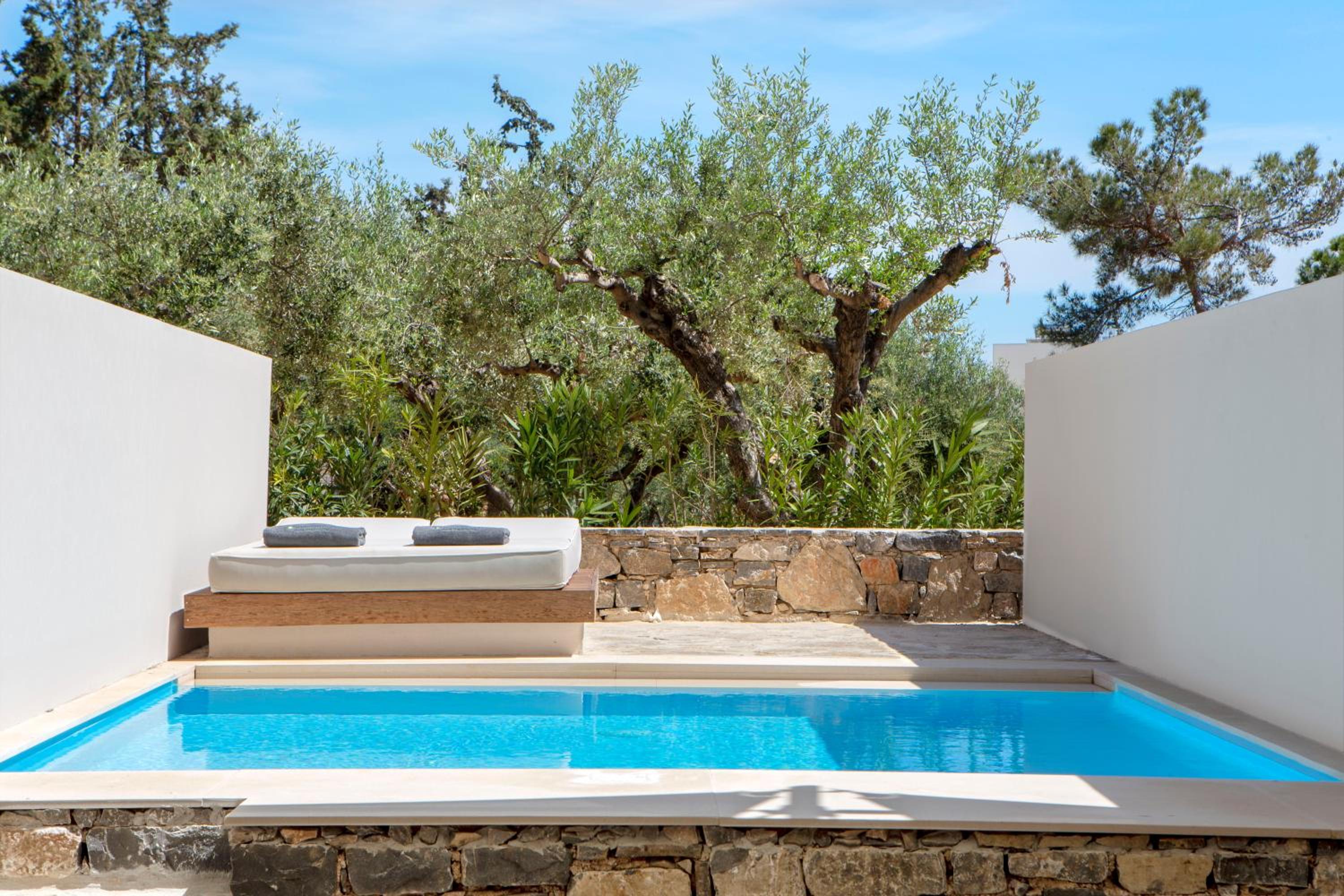 Deluxe Room with Private Pool