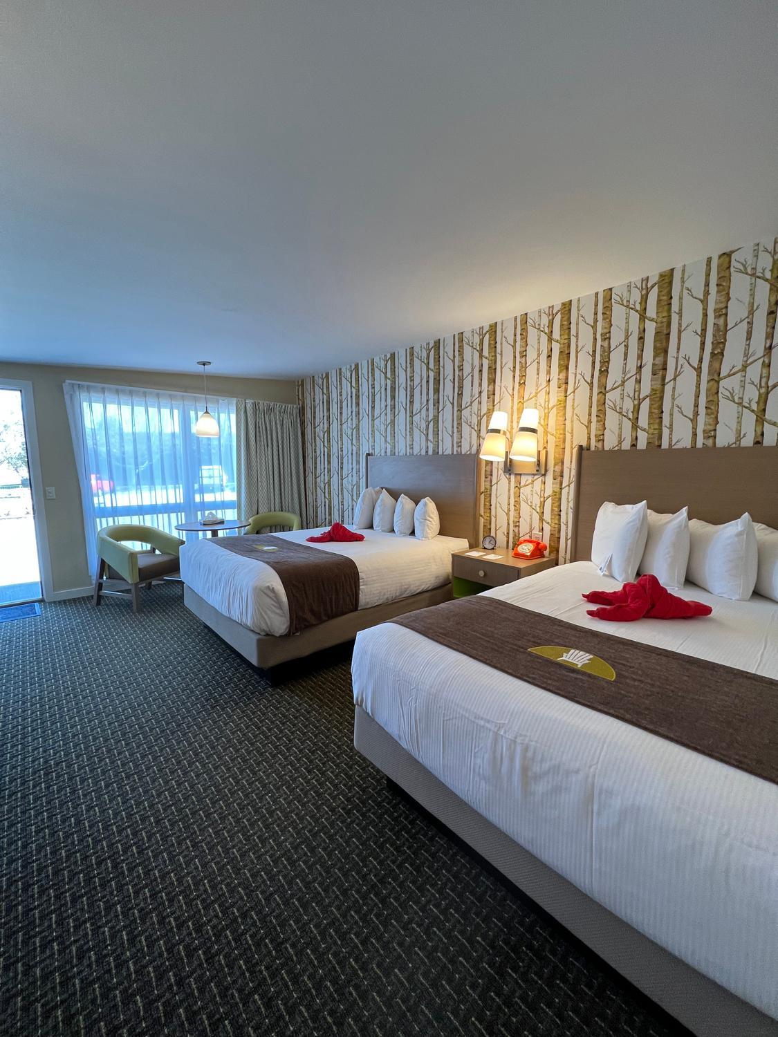Double Room - Disability Access photo 1