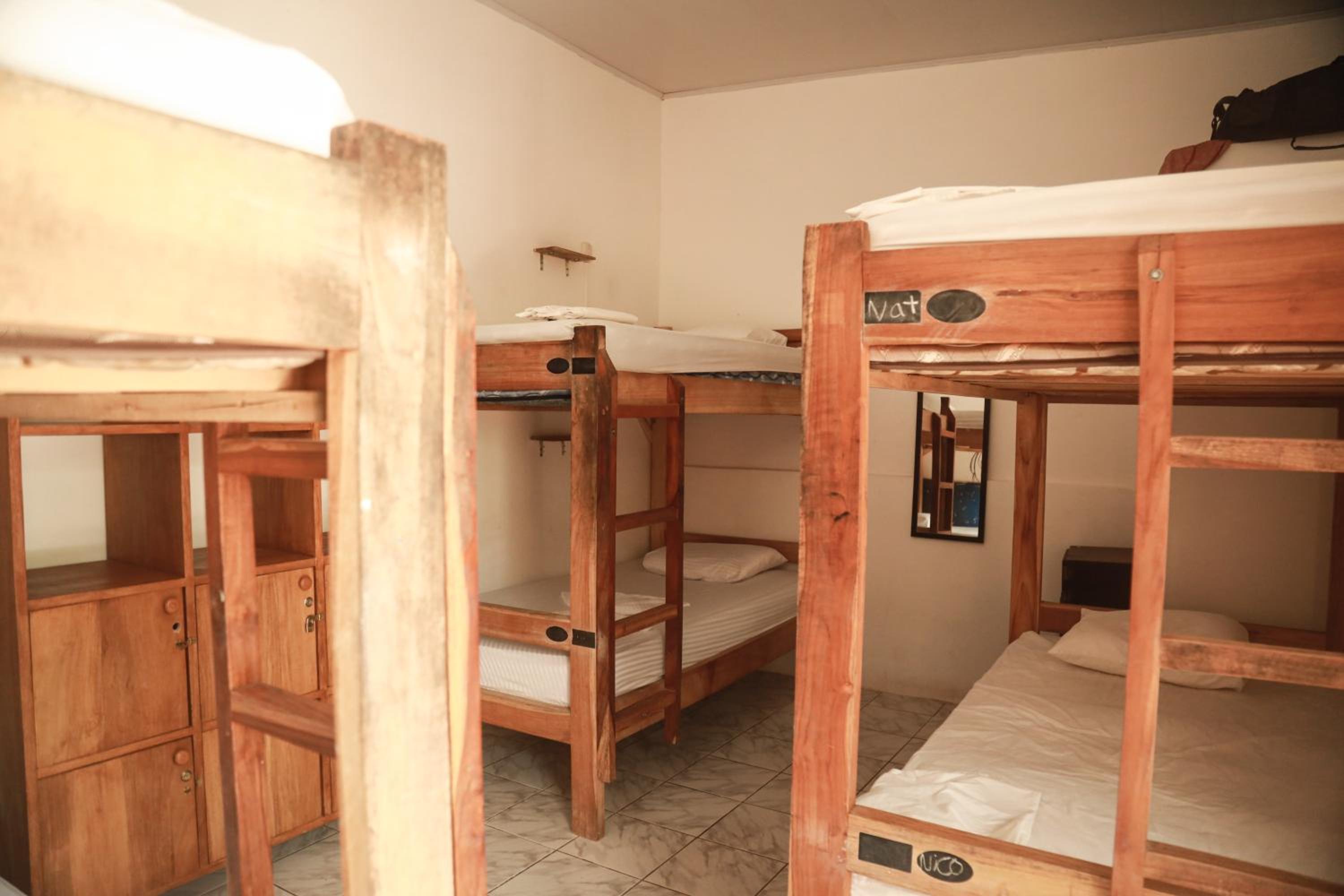 Bed in 6-Bed Mixed Dormitory Room