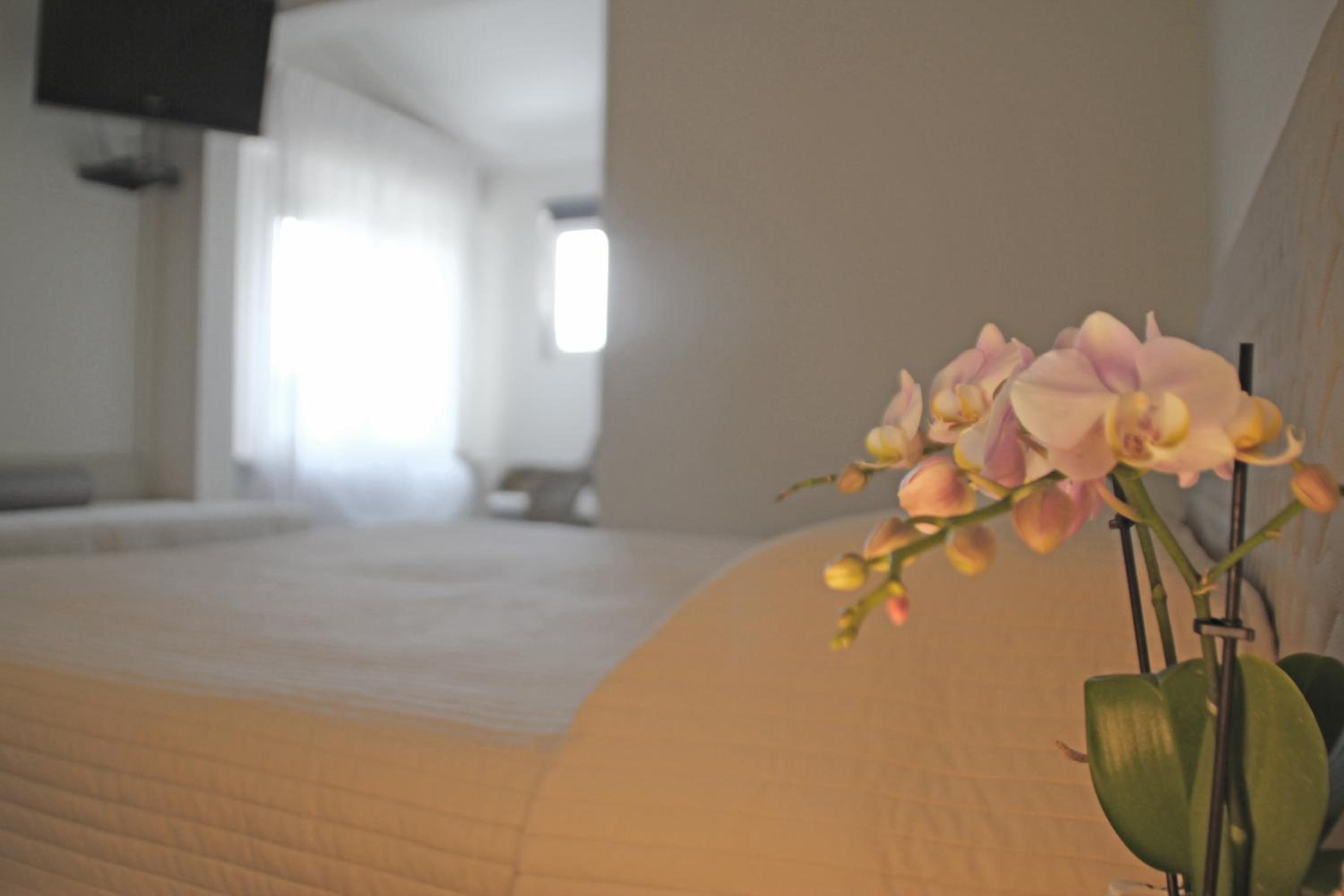 Standard Double Room with Partial Lake View