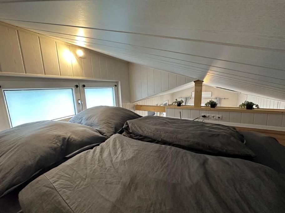 One-Bedroom House photo 1